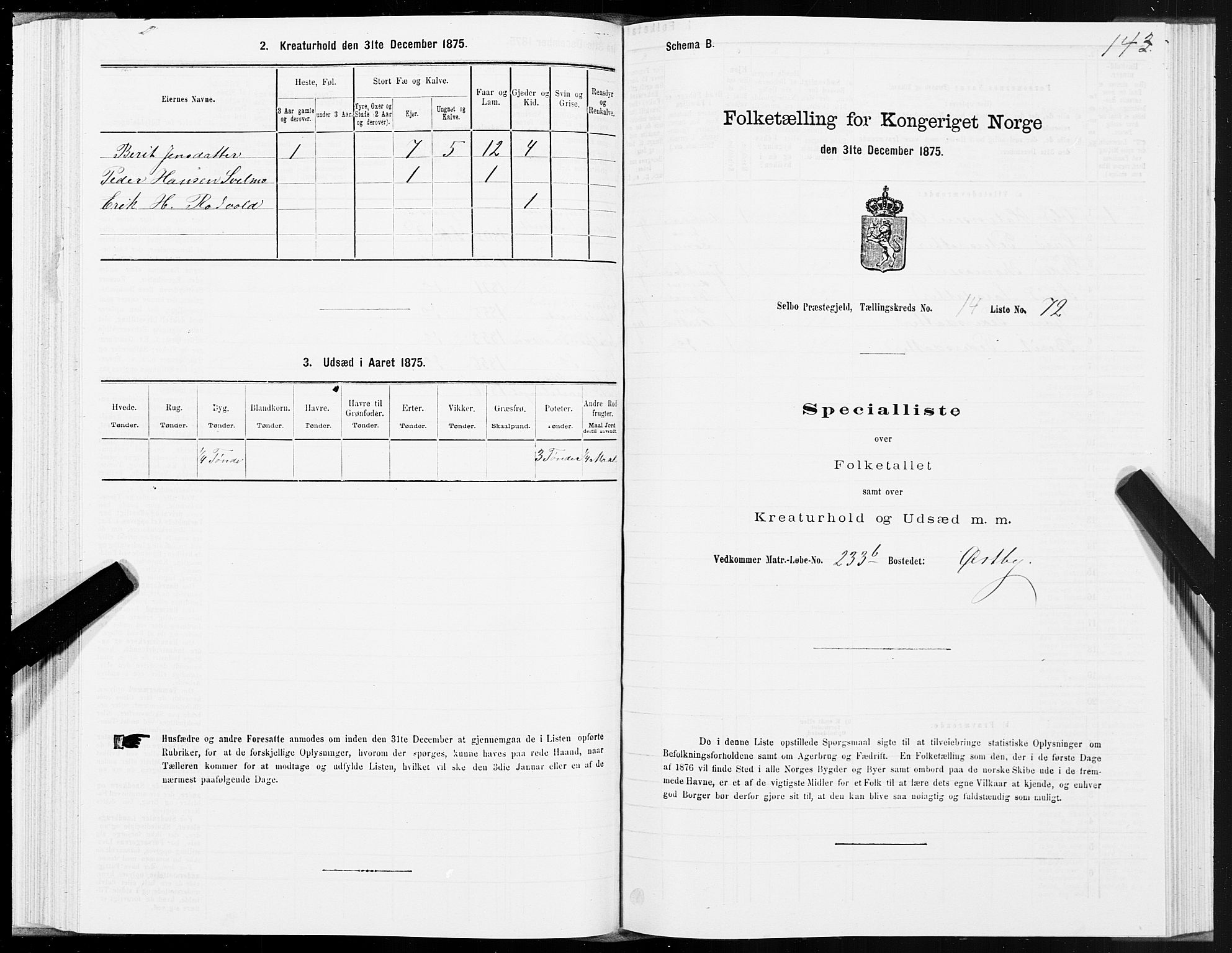 SAT, 1875 census for 1664P Selbu, 1875, p. 7143