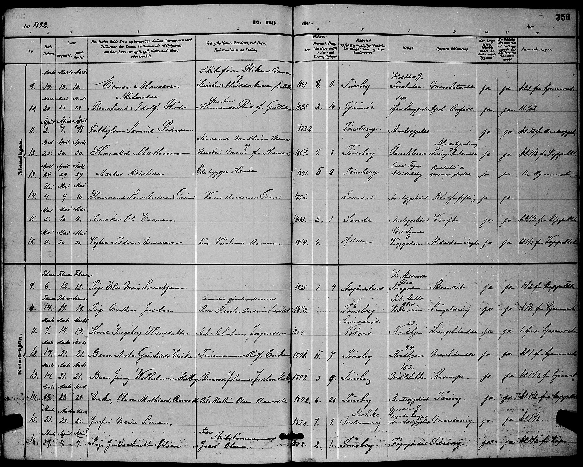 Tønsberg kirkebøker, SAKO/A-330/G/Ga/L0006: Parish register (copy) no. 6, 1885-1895, p. 356