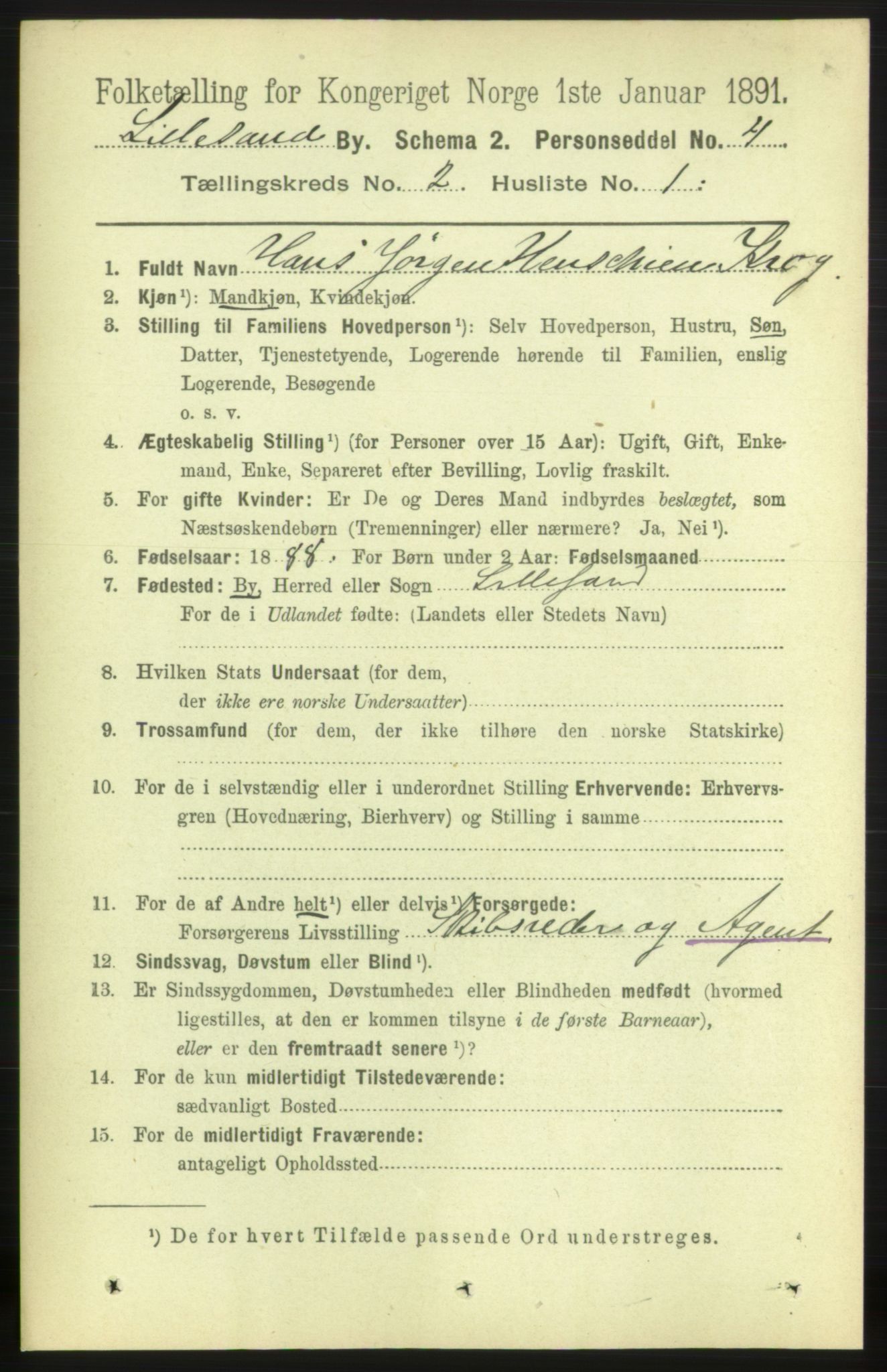 RA, 1891 census for 0905 Lillesand, 1891, p. 272