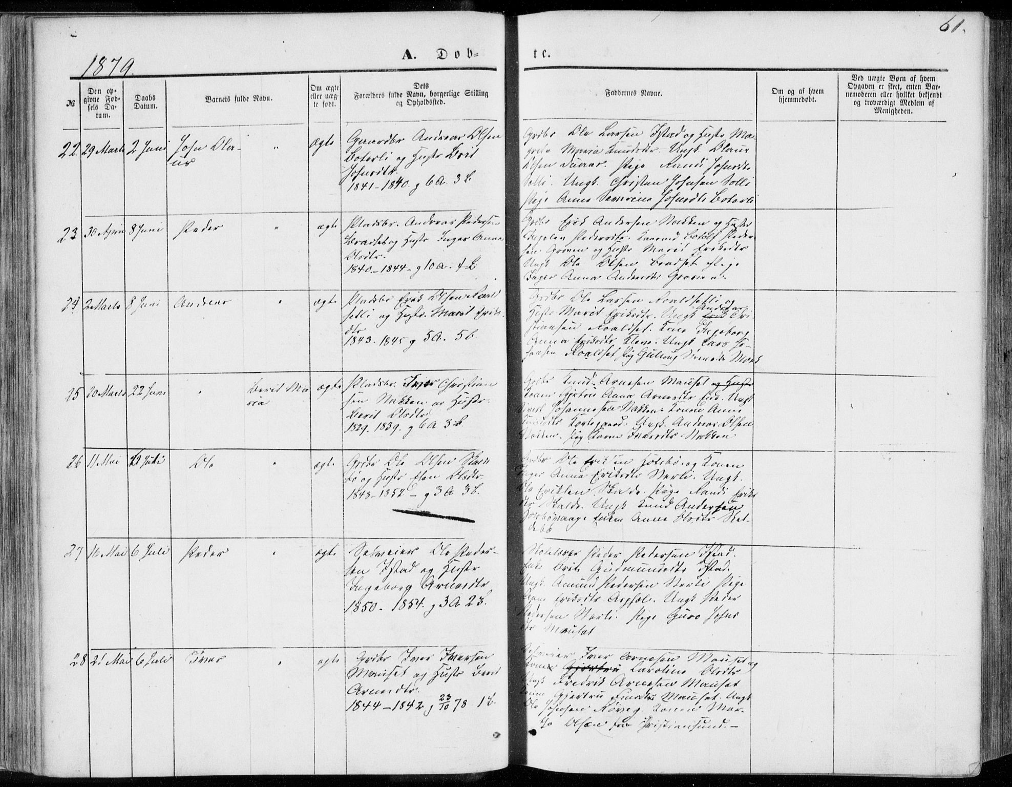 Ministerialprotokoller, klokkerbøker og fødselsregistre - Møre og Romsdal, AV/SAT-A-1454/557/L0681: Parish register (official) no. 557A03, 1869-1886, p. 61