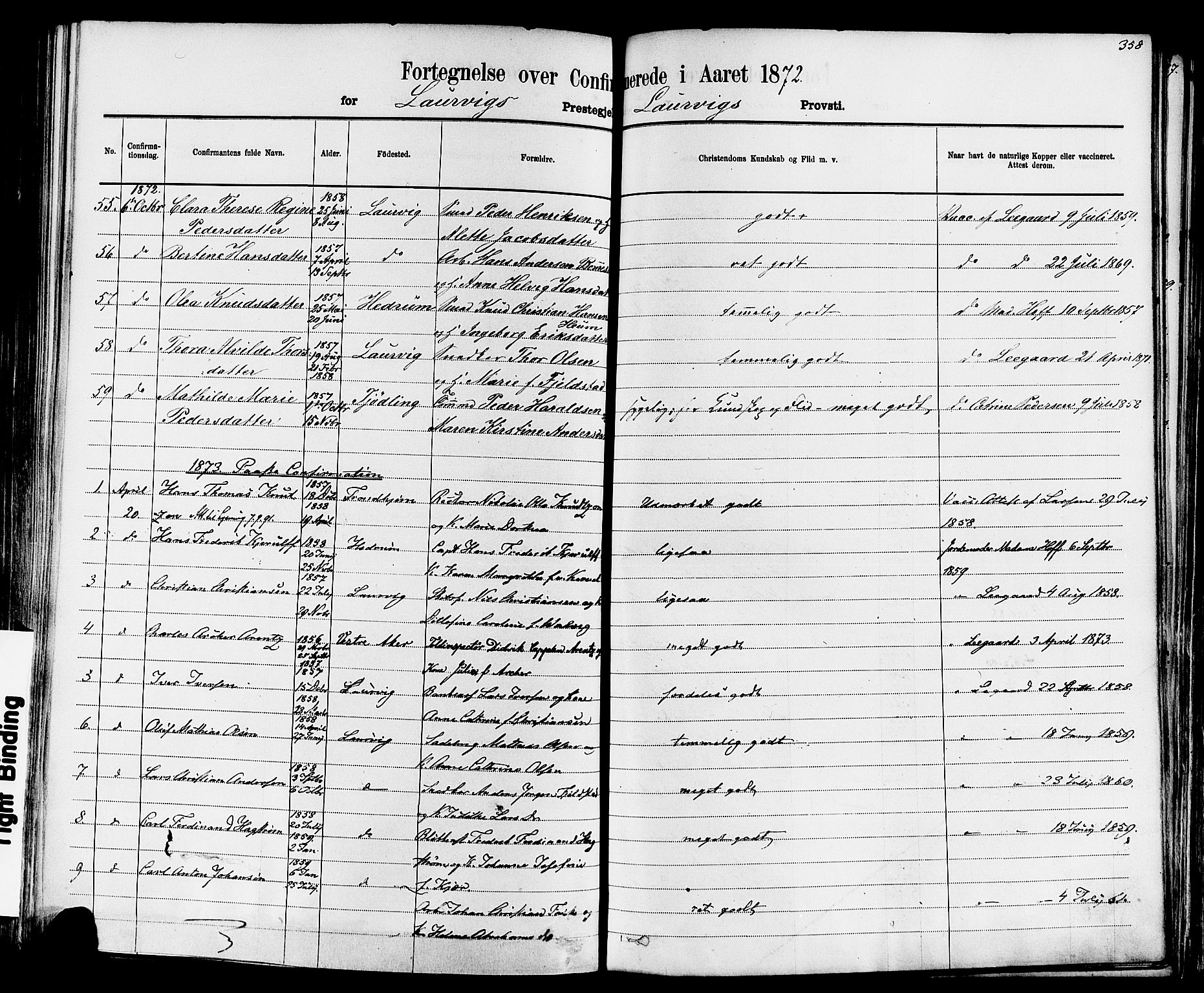 Larvik kirkebøker, SAKO/A-352/F/Fa/L0006: Parish register (official) no. I 6, 1871-1883, p. 358
