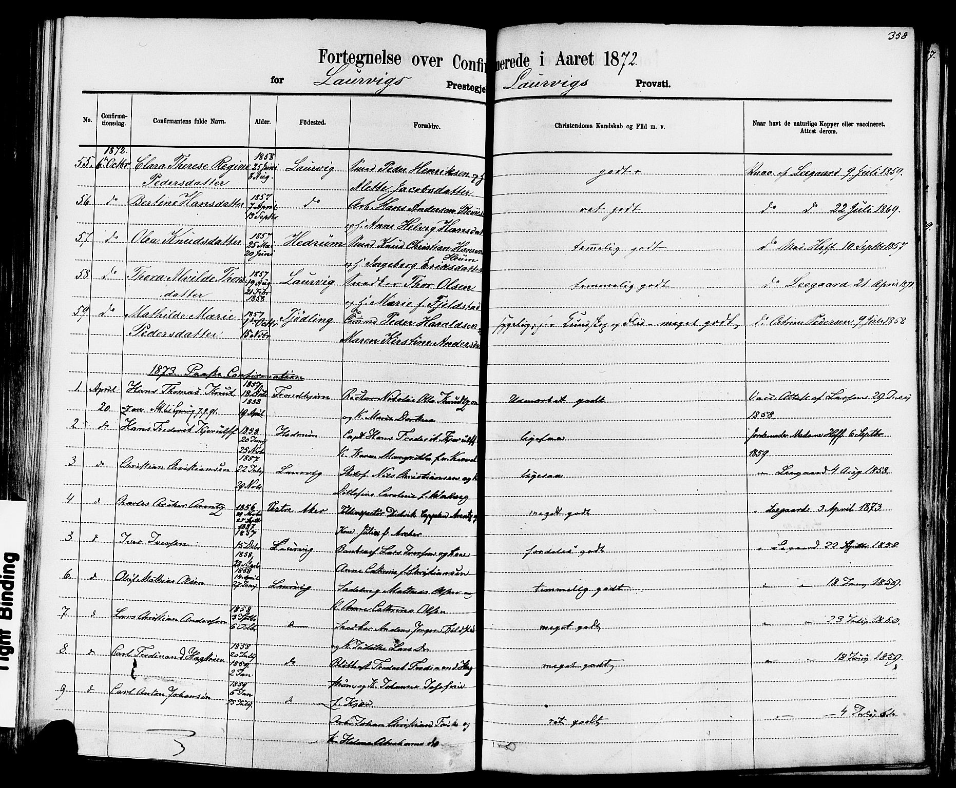 Larvik kirkebøker, AV/SAKO-A-352/F/Fa/L0006: Parish register (official) no. I 6, 1871-1883, p. 358