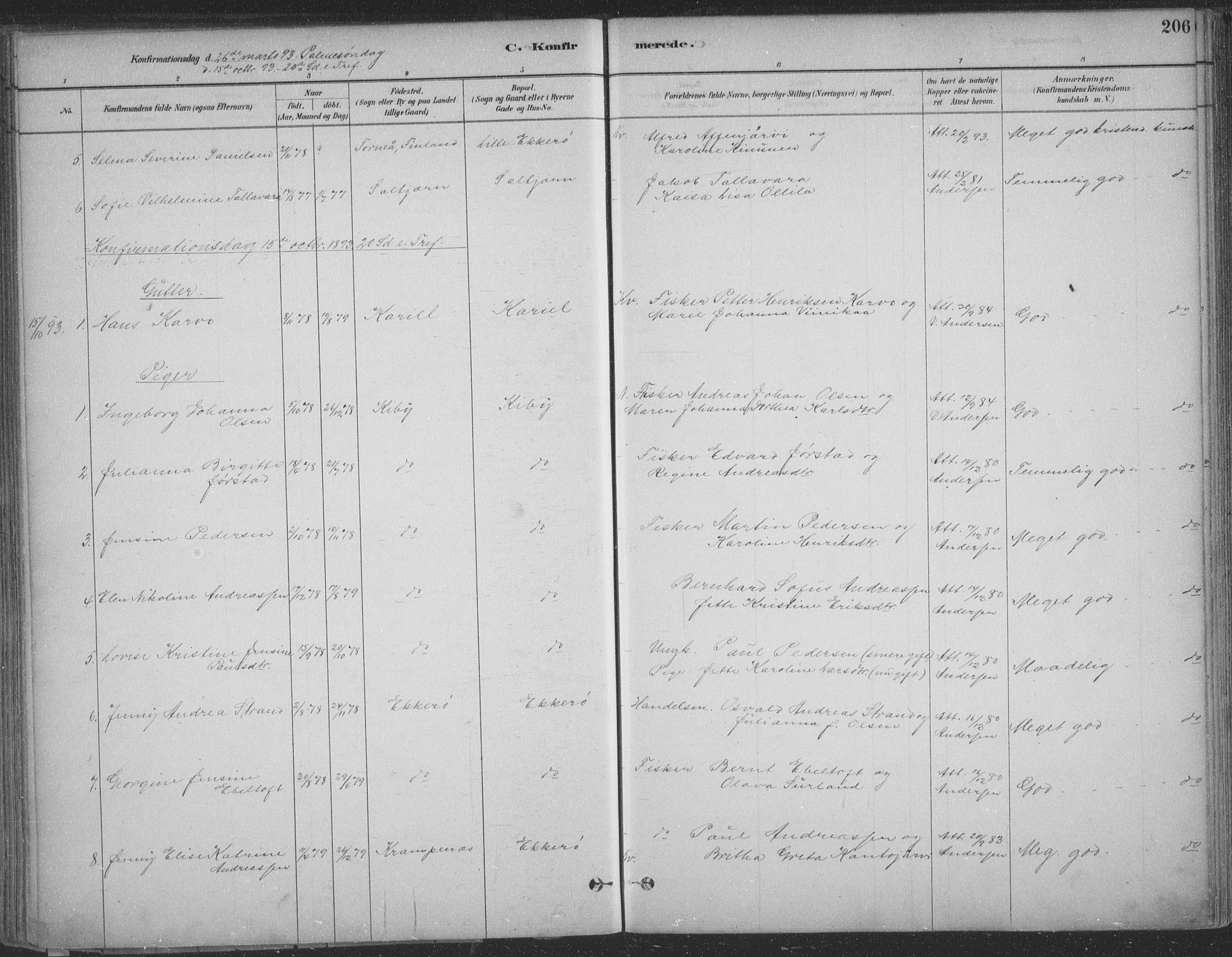 Vadsø sokneprestkontor, SATØ/S-1325/H/Ha/L0009kirke: Parish register (official) no. 9, 1881-1917, p. 206