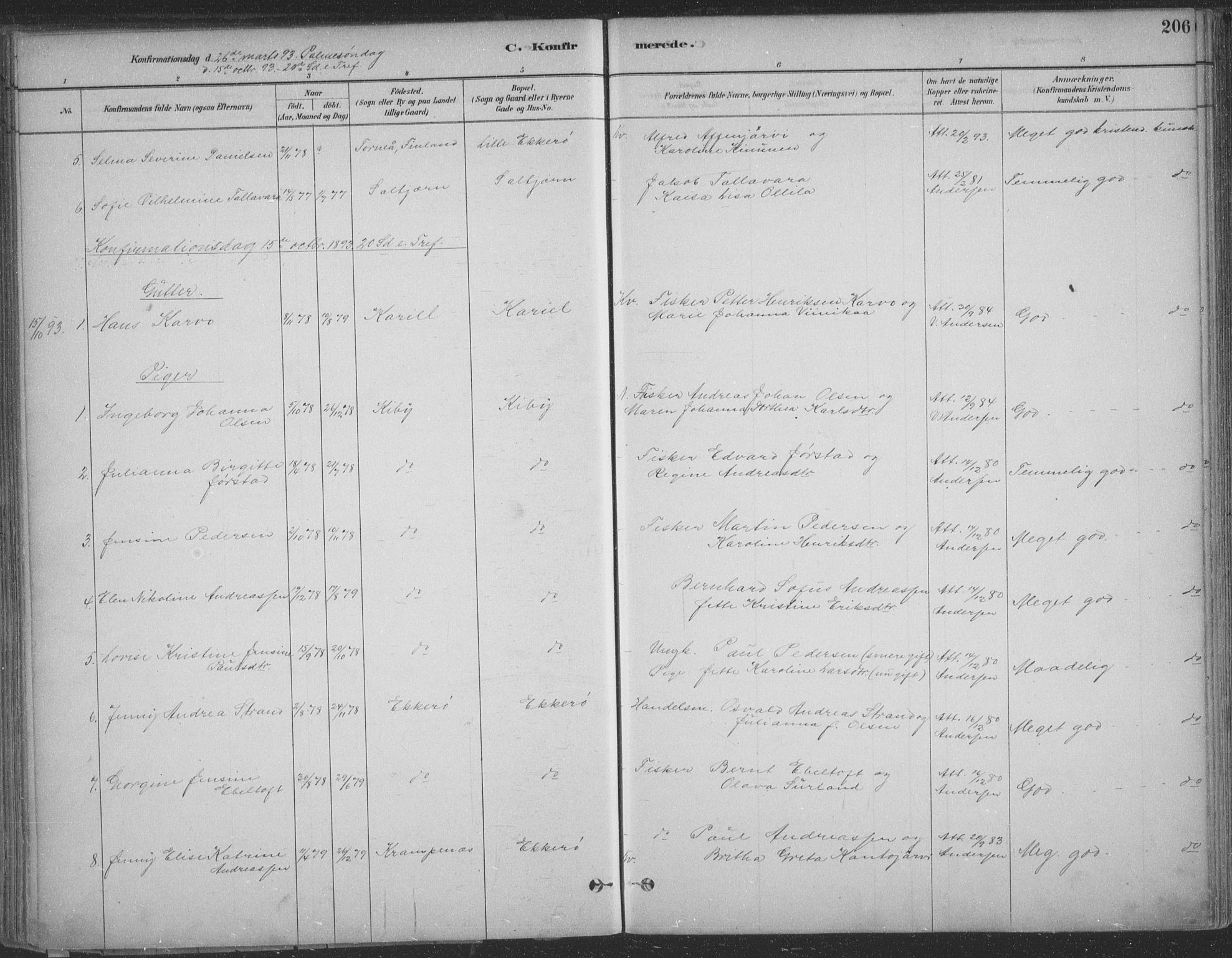 Vadsø sokneprestkontor, AV/SATØ-S-1325/H/Ha/L0009kirke: Parish register (official) no. 9, 1881-1917, p. 206