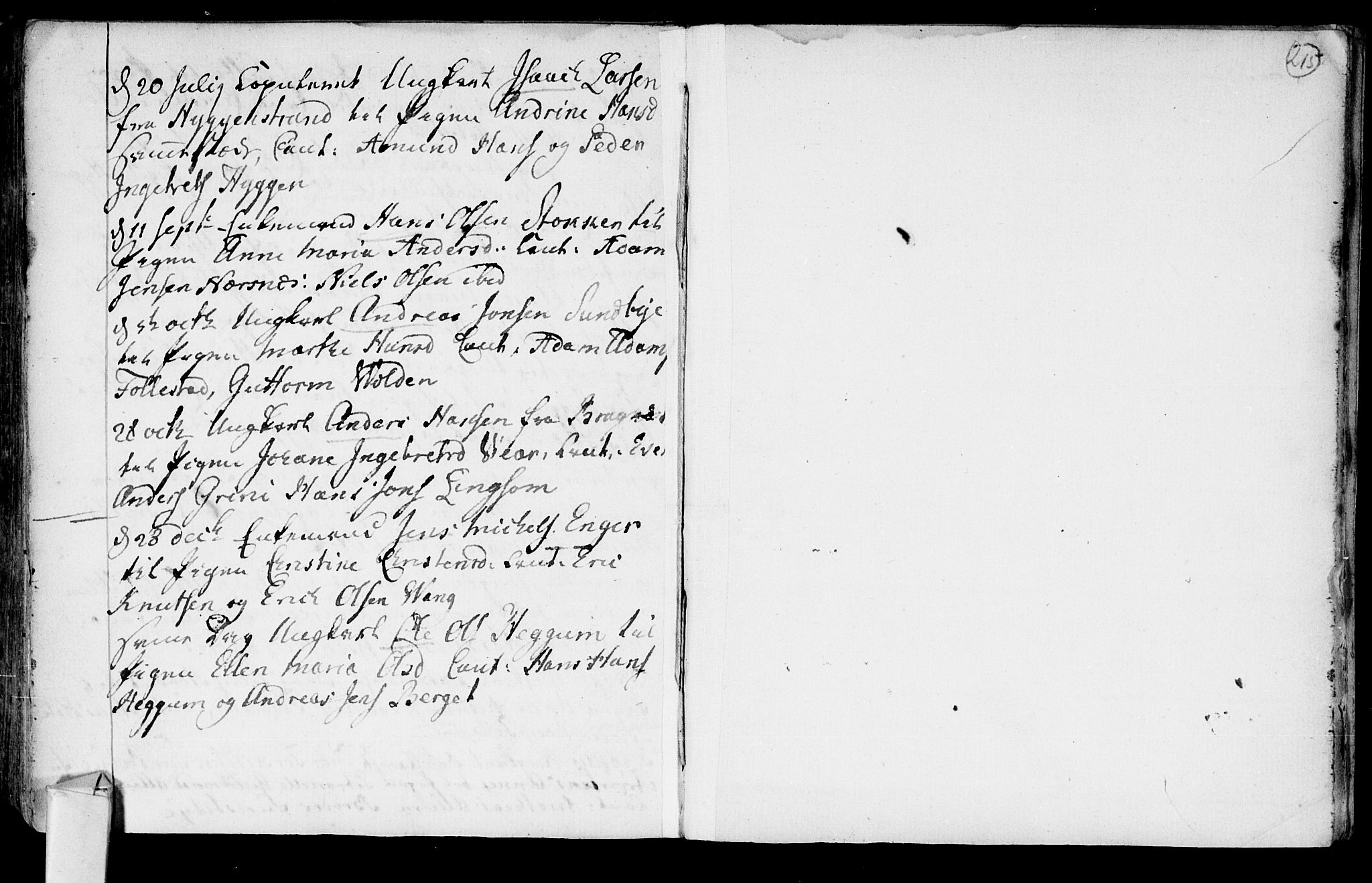 Røyken kirkebøker, AV/SAKO-A-241/F/Fa/L0003: Parish register (official) no. 3, 1782-1813, p. 215
