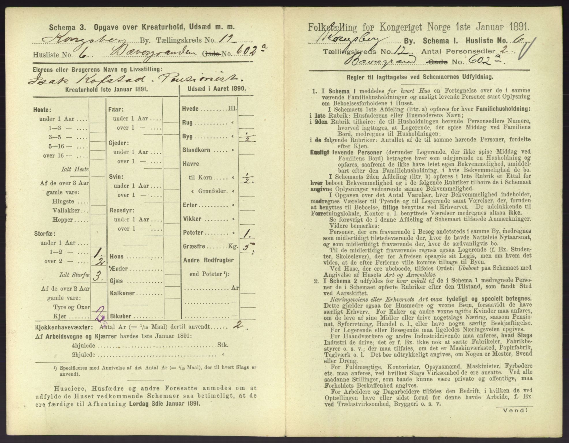 RA, 1891 census for 0604 Kongsberg, 1891, p. 1515