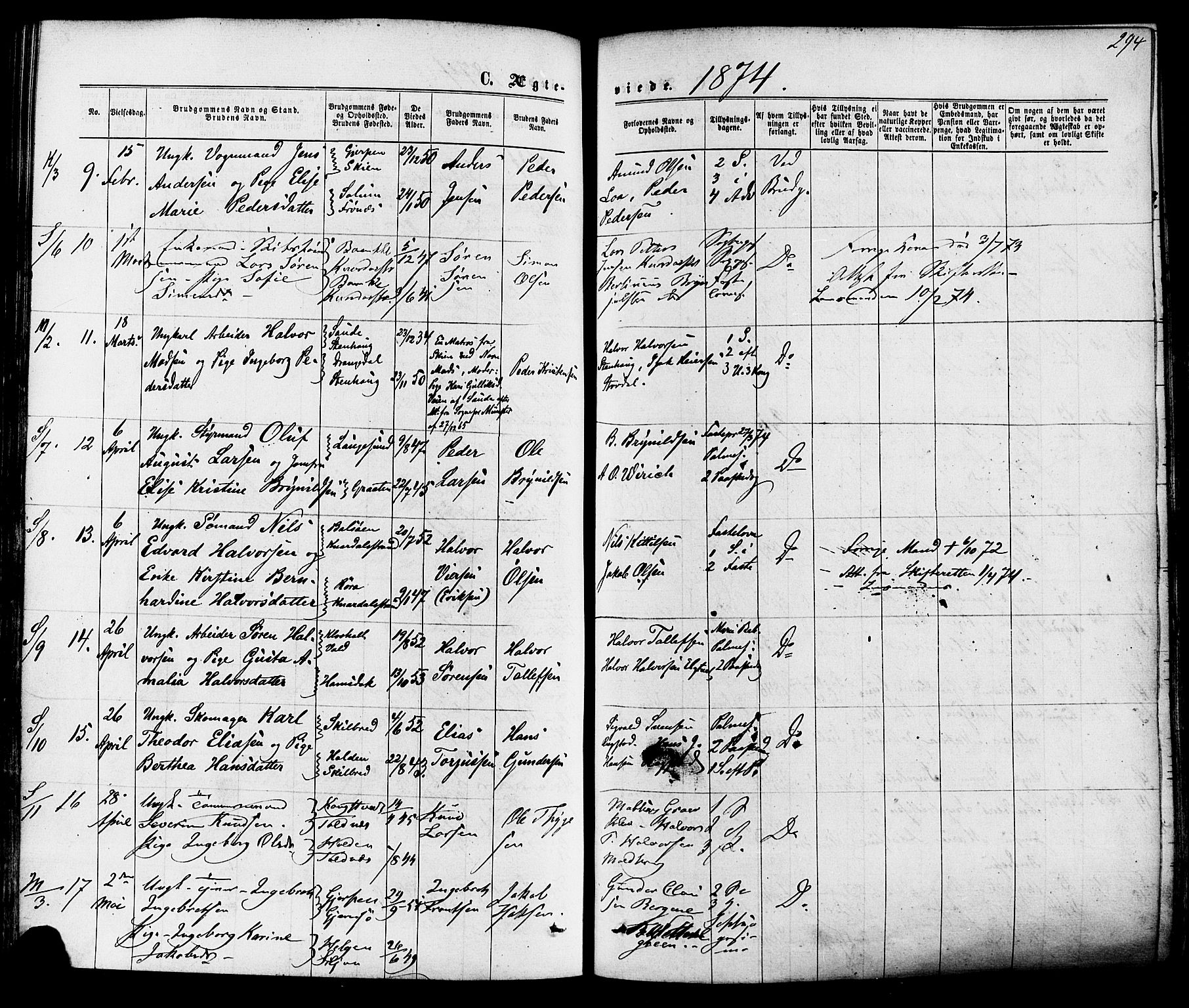 Solum kirkebøker, SAKO/A-306/F/Fa/L0008: Parish register (official) no. I 8, 1865-1876, p. 294