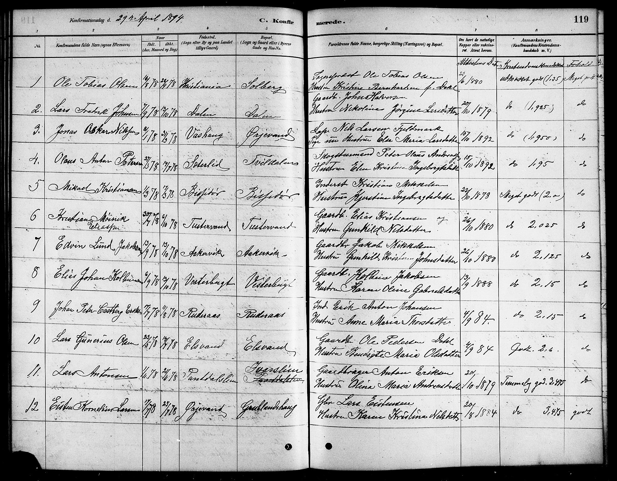Ministerialprotokoller, klokkerbøker og fødselsregistre - Nordland, SAT/A-1459/823/L0330: Parish register (copy) no. 823C02, 1879-1916, p. 119