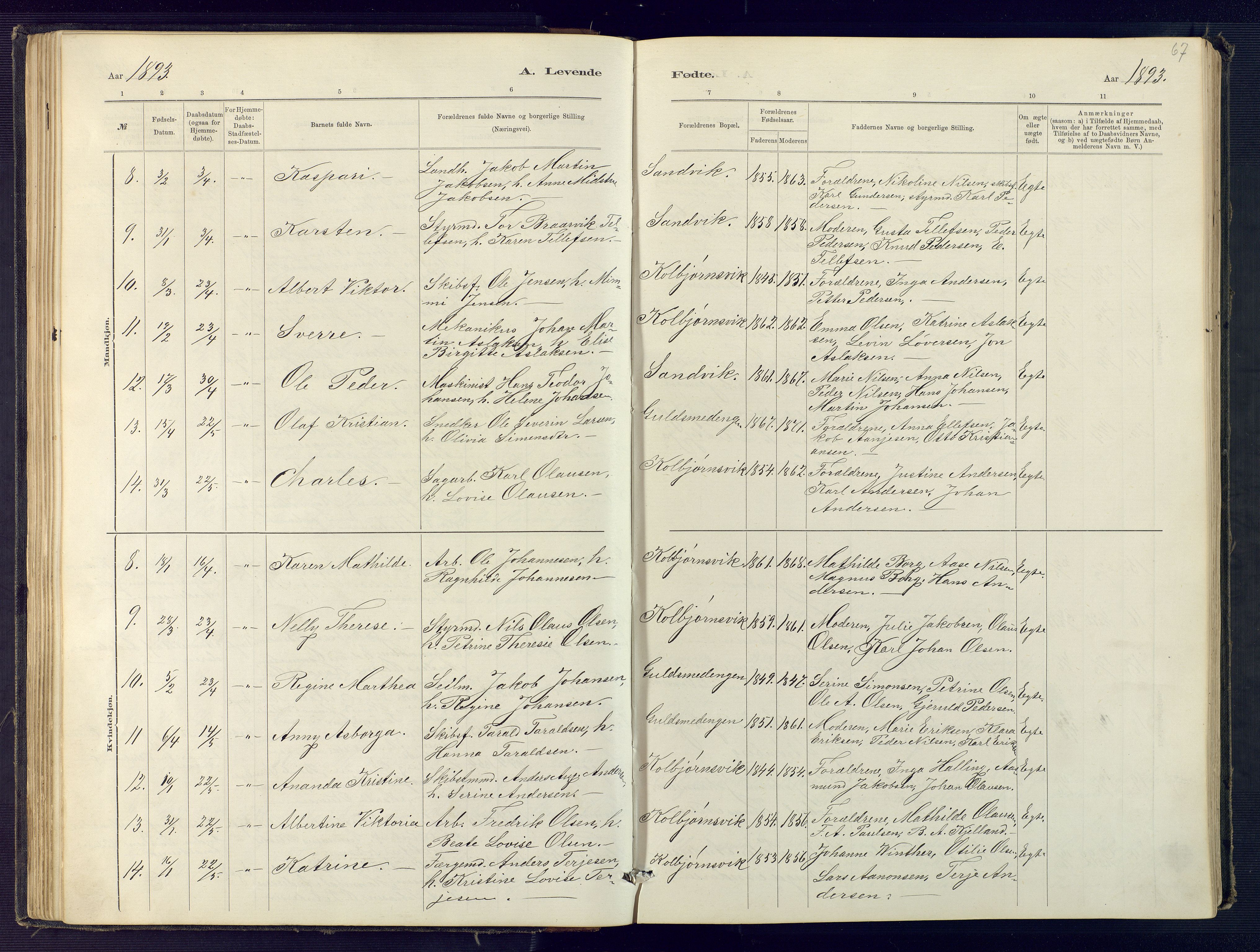 Hisøy sokneprestkontor, SAK/1111-0020/F/Fb/L0003: Parish register (copy) no. B 3, 1885-1905, p. 67