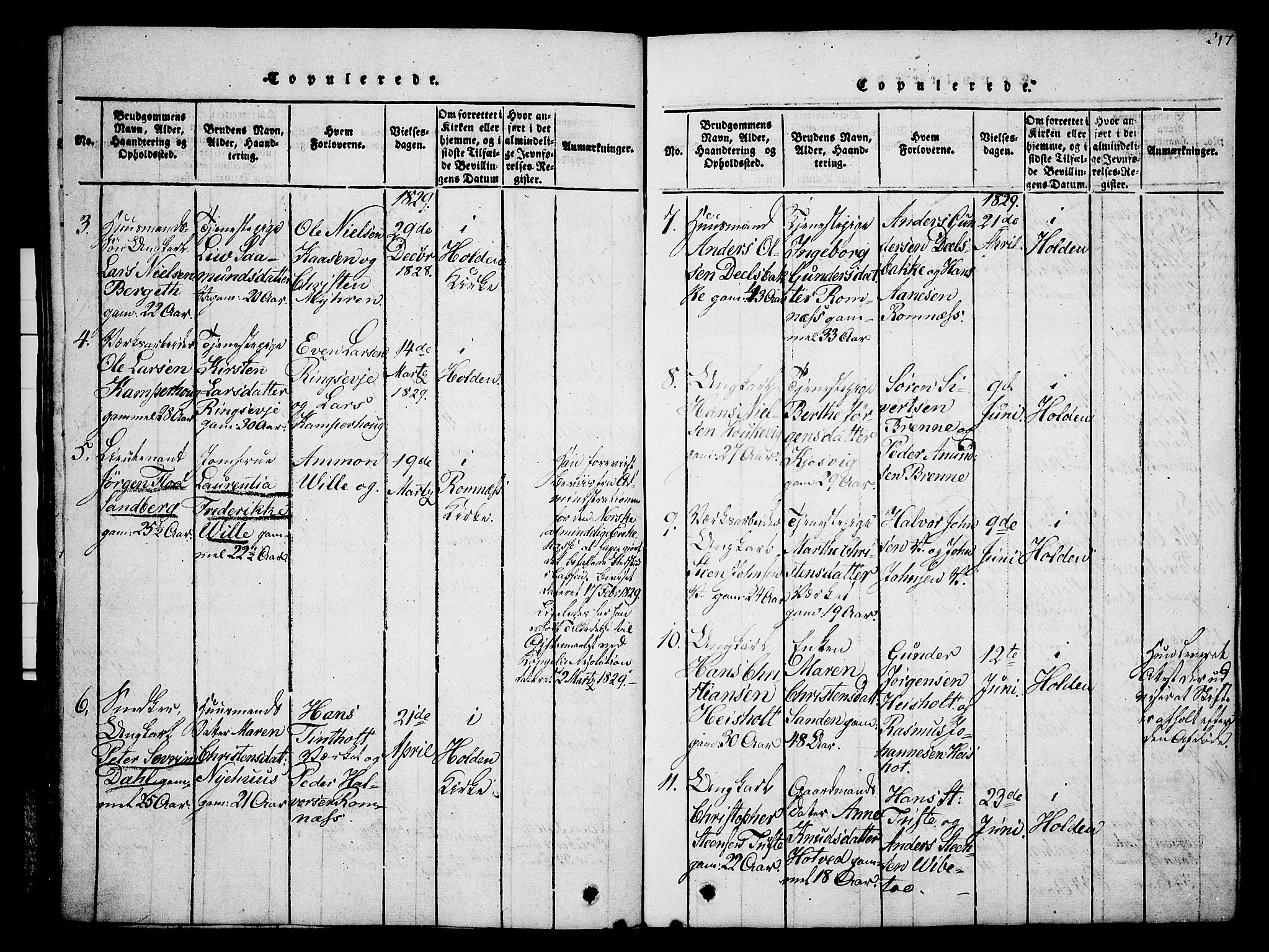 Holla kirkebøker, SAKO/A-272/G/Ga/L0001: Parish register (copy) no. I 1, 1814-1830, p. 217