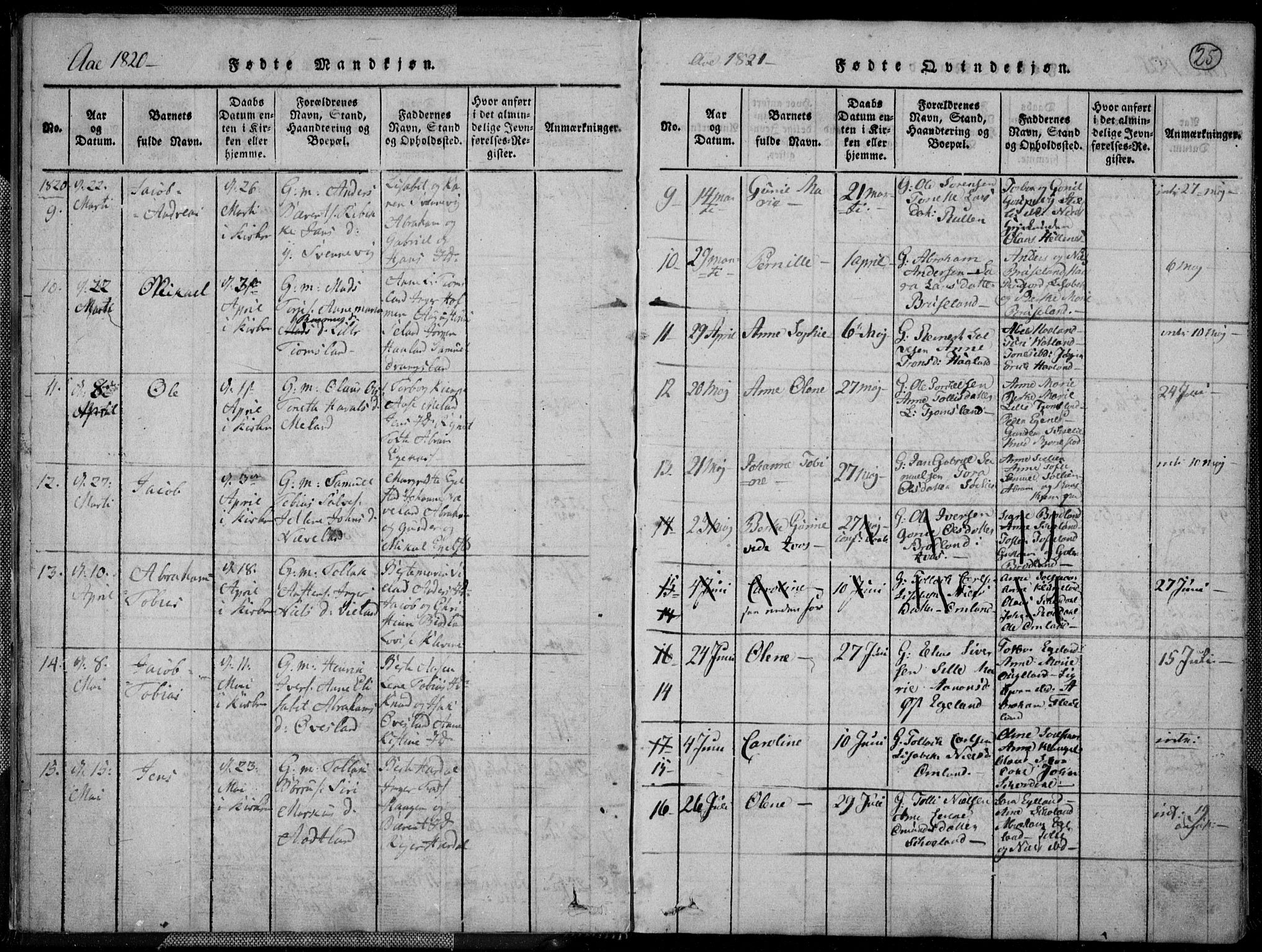 Lyngdal sokneprestkontor, AV/SAK-1111-0029/F/Fa/Fac/L0006: Parish register (official) no. A 6, 1815-1825, p. 25