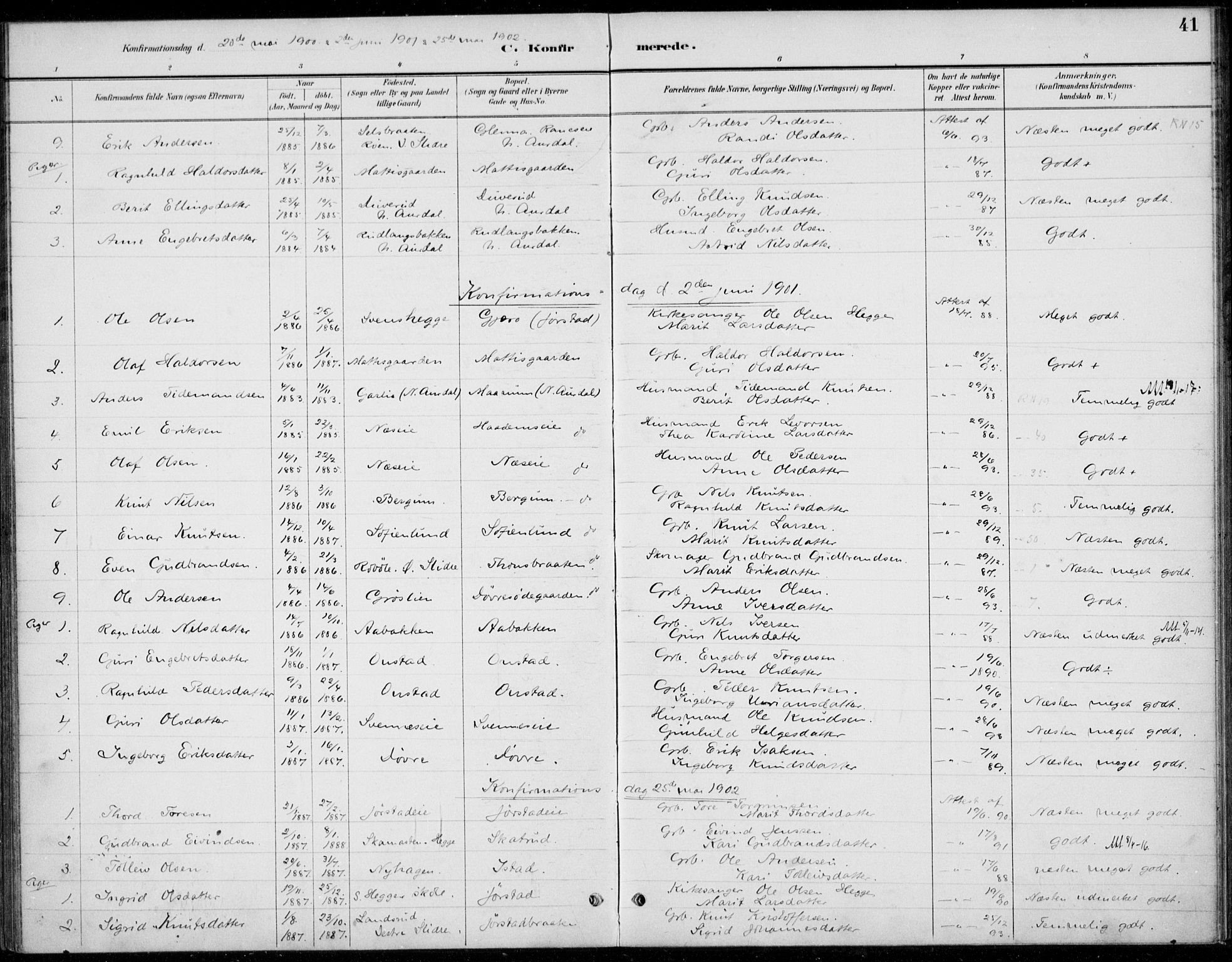 Øystre Slidre prestekontor, SAH/PREST-138/H/Ha/Haa/L0005: Parish register (official) no. 5, 1887-1916, p. 41