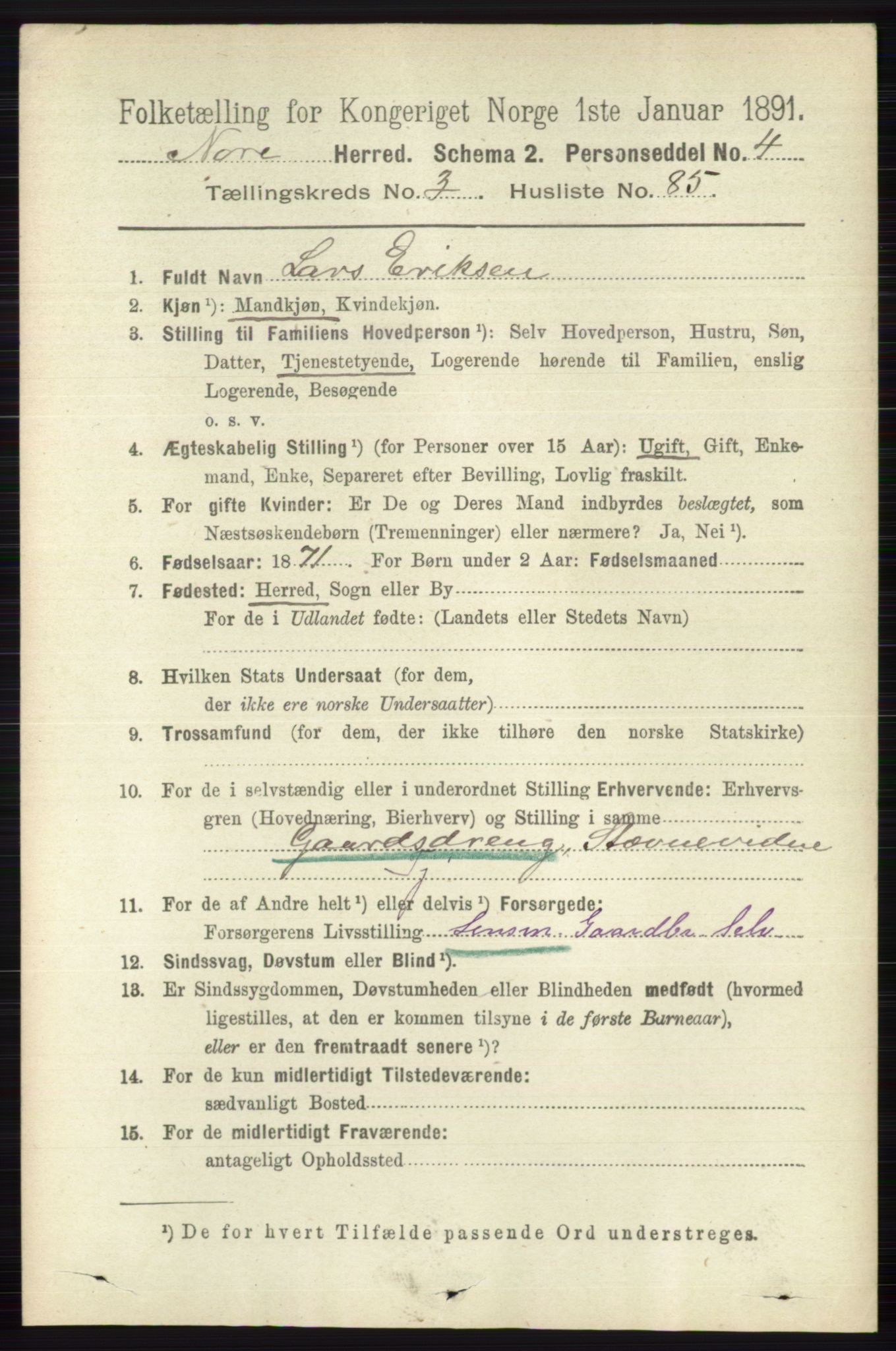 RA, 1891 census for 0633 Nore, 1891, p. 1211