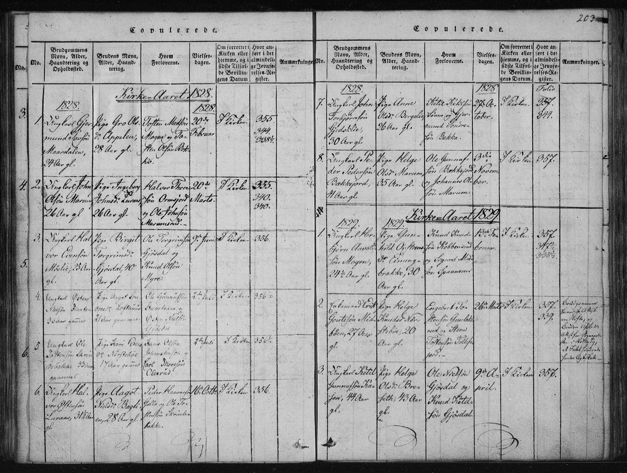 Tinn kirkebøker, AV/SAKO-A-308/F/Fa/L0004: Parish register (official) no. I 4, 1815-1843, p. 202b-203a
