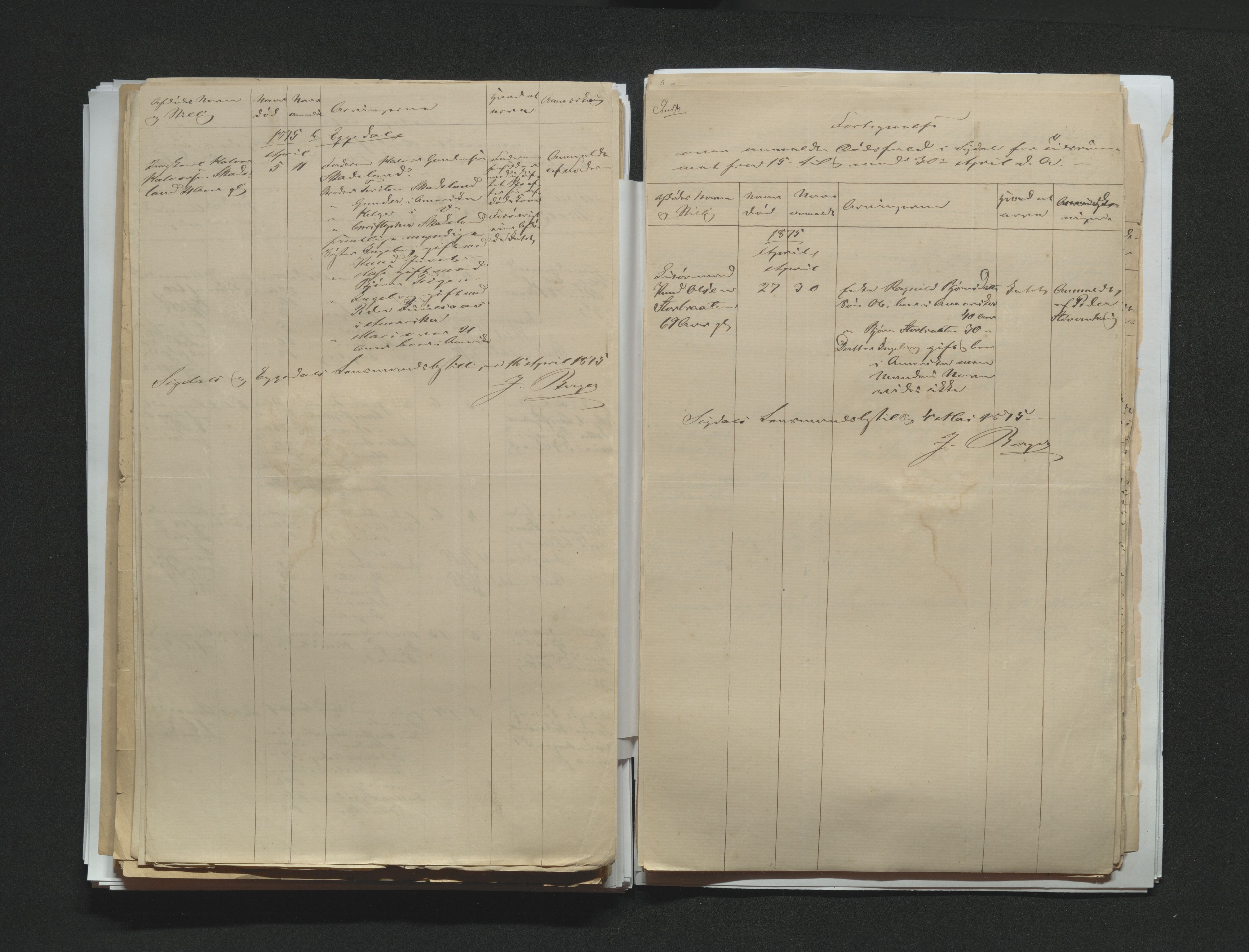 Eiker, Modum og Sigdal sorenskriveri, AV/SAKO-A-123/H/Ha/Hab/L0014: Dødsfallsmeldinger, 1874-1877, p. 291
