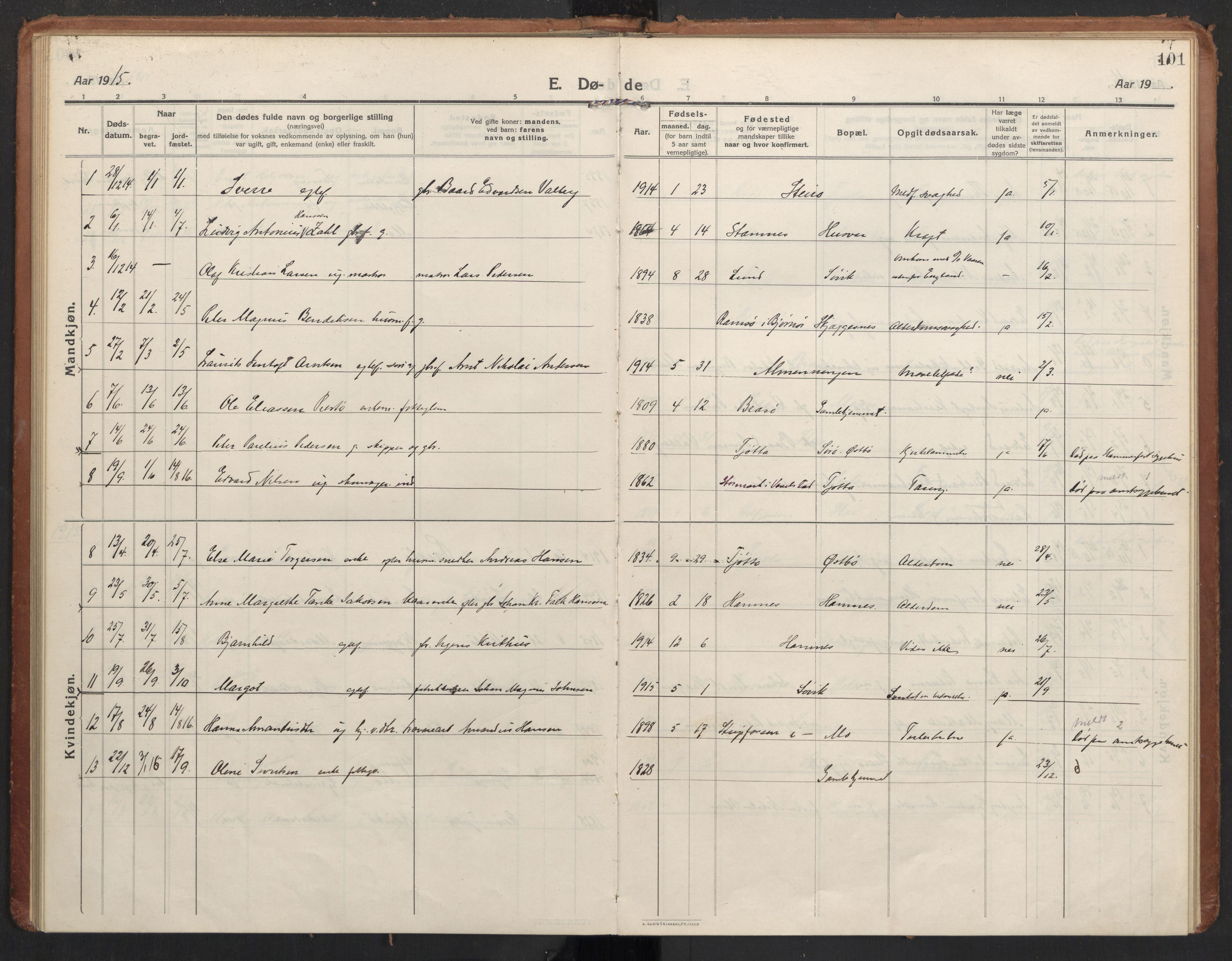 Ministerialprotokoller, klokkerbøker og fødselsregistre - Nordland, AV/SAT-A-1459/830/L0456: Parish register (official) no. 830A20, 1914-1937, p. 101