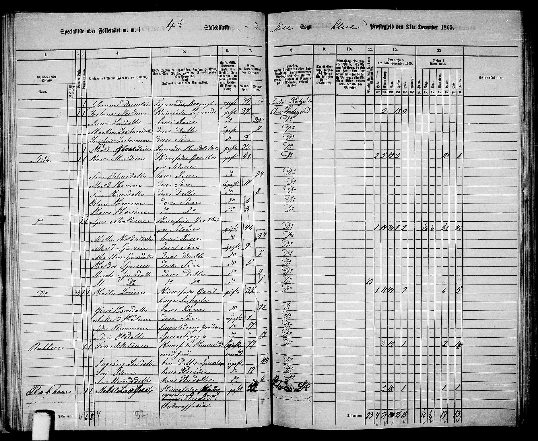 RA, 1865 census for Etne, 1865, p. 41