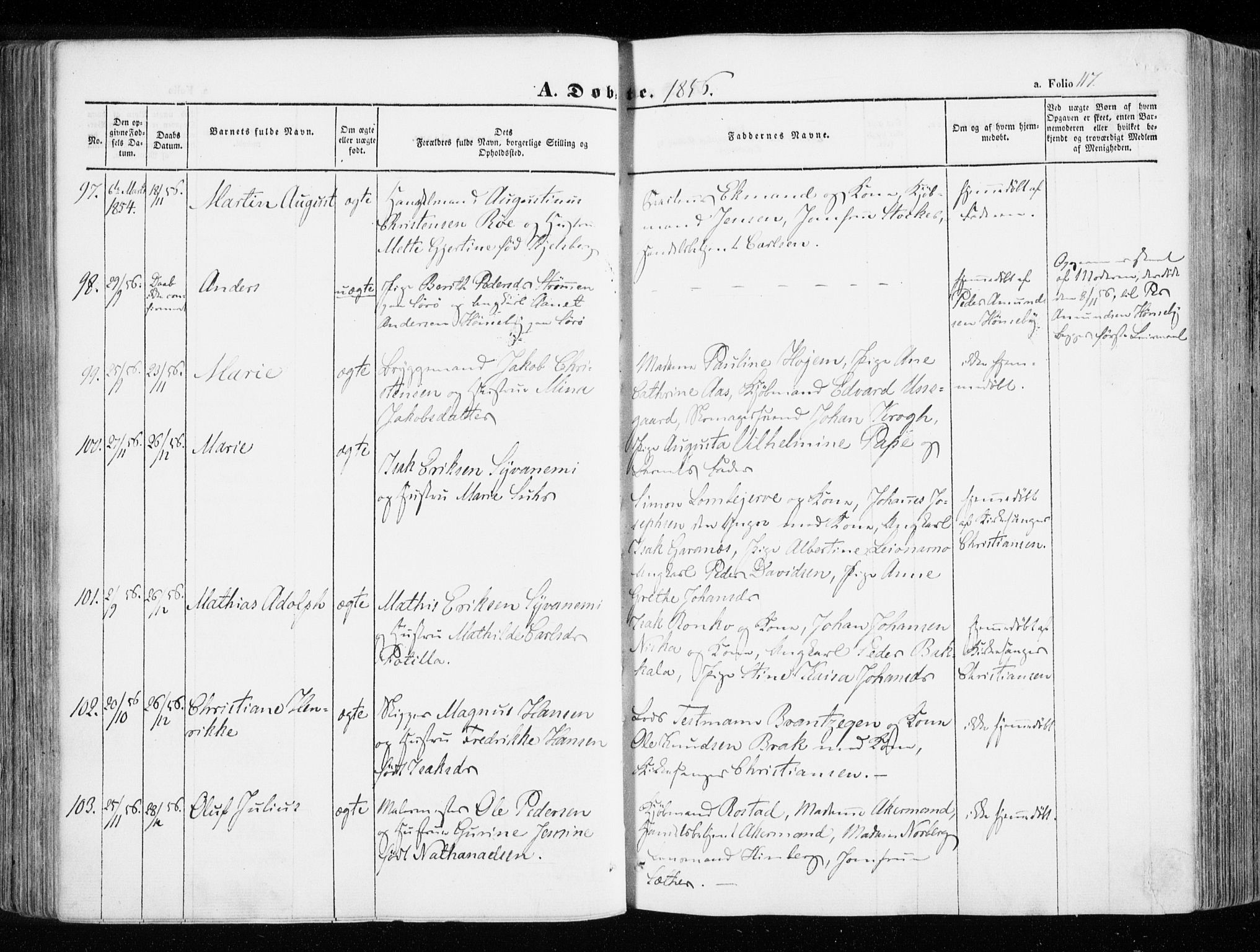 Hammerfest sokneprestkontor, SATØ/S-1347/H/Ha/L0004.kirke: Parish register (official) no. 4, 1843-1856, p. 117