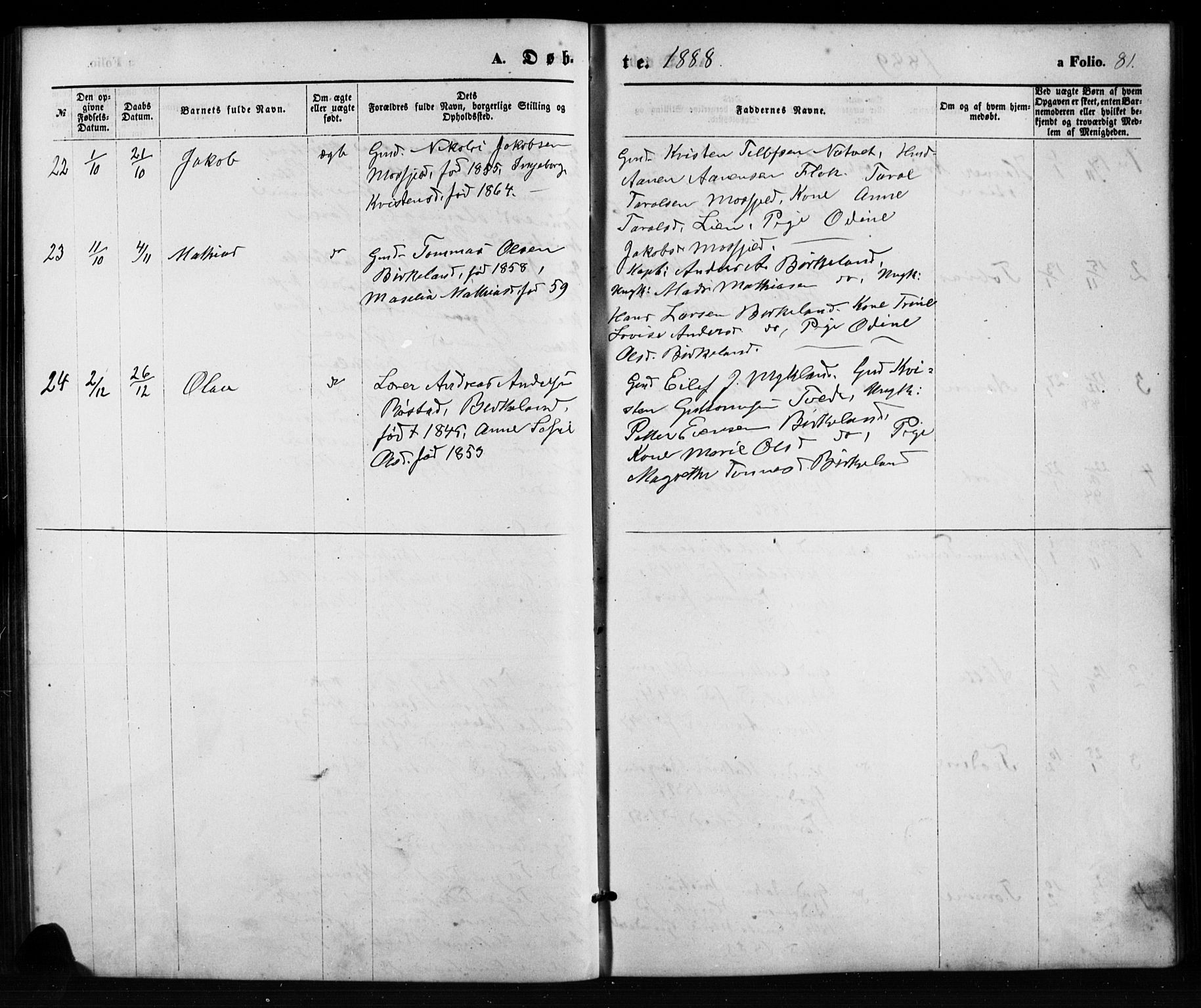 Birkenes sokneprestkontor, AV/SAK-1111-0004/F/Fb/L0003: Parish register (copy) no. B 3, 1876-1892, p. 81