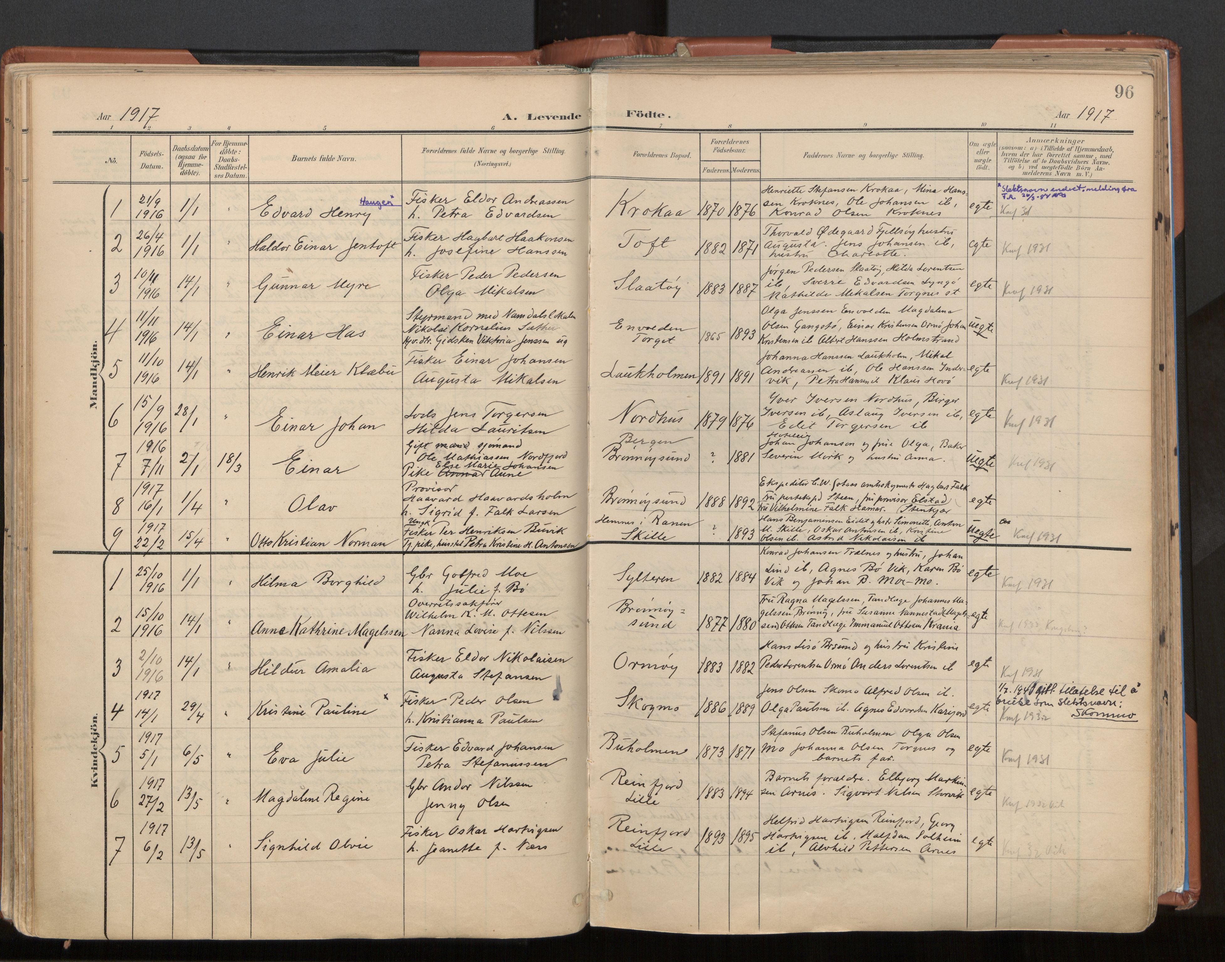 Ministerialprotokoller, klokkerbøker og fødselsregistre - Nordland, SAT/A-1459/813/L0201: Parish register (official) no. 813A11, 1901-1918, p. 96