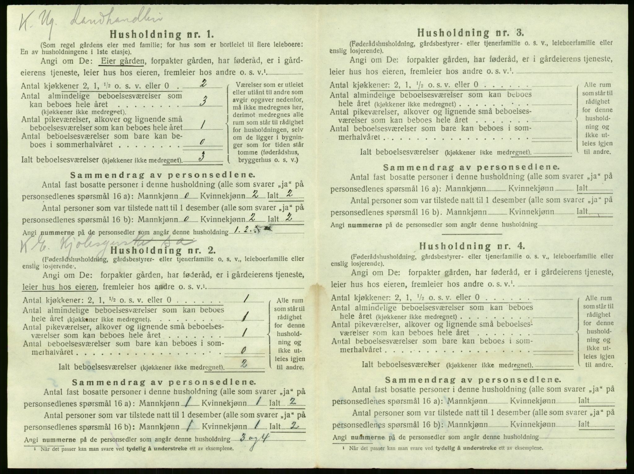 SAKO, 1920 census for Nøtterøy, 1920, p. 885