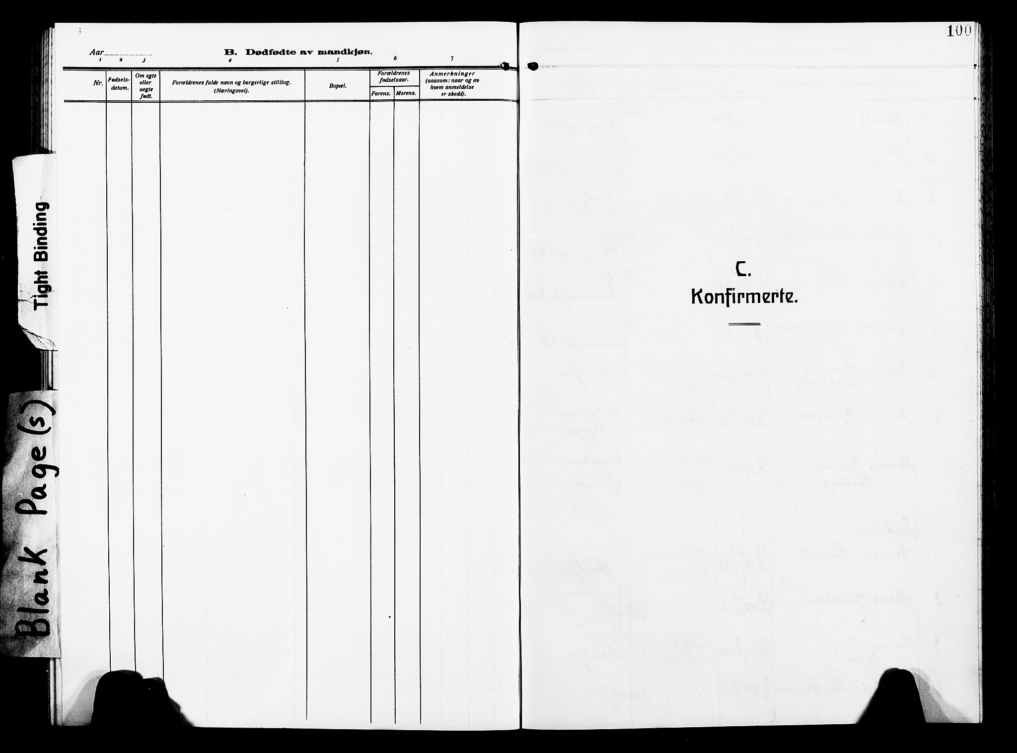 Ministerialprotokoller, klokkerbøker og fødselsregistre - Nord-Trøndelag, SAT/A-1458/739/L0376: Parish register (copy) no. 739C04, 1908-1917, p. 100
