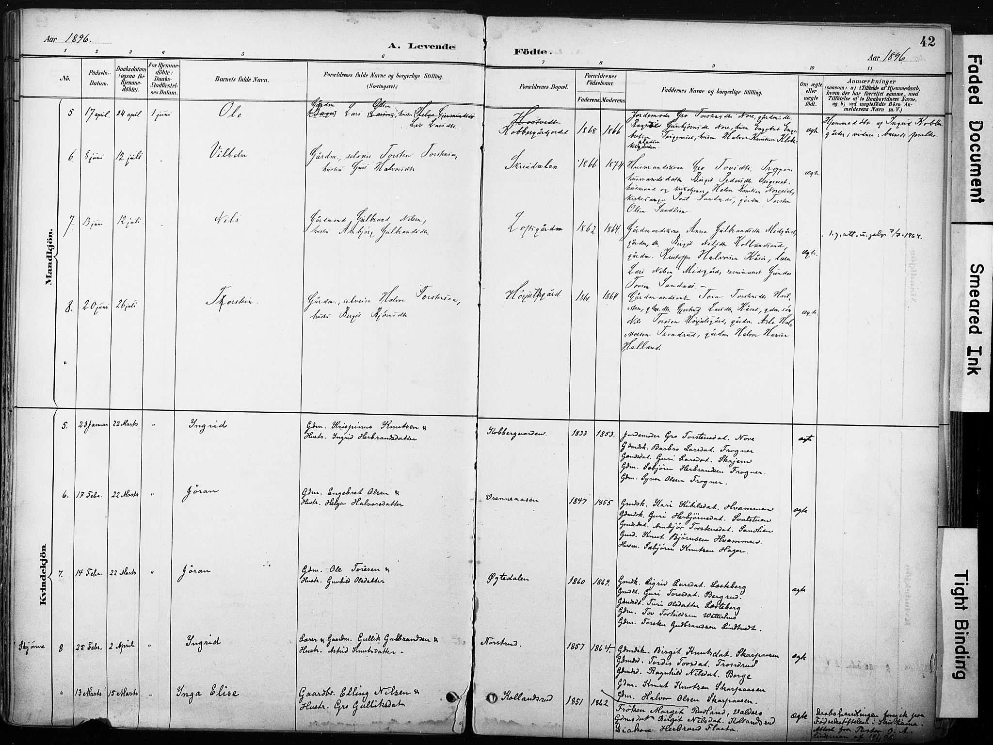 Nore kirkebøker, SAKO/A-238/F/Fb/L0002: Parish register (official) no. II 2, 1886-1906, p. 42