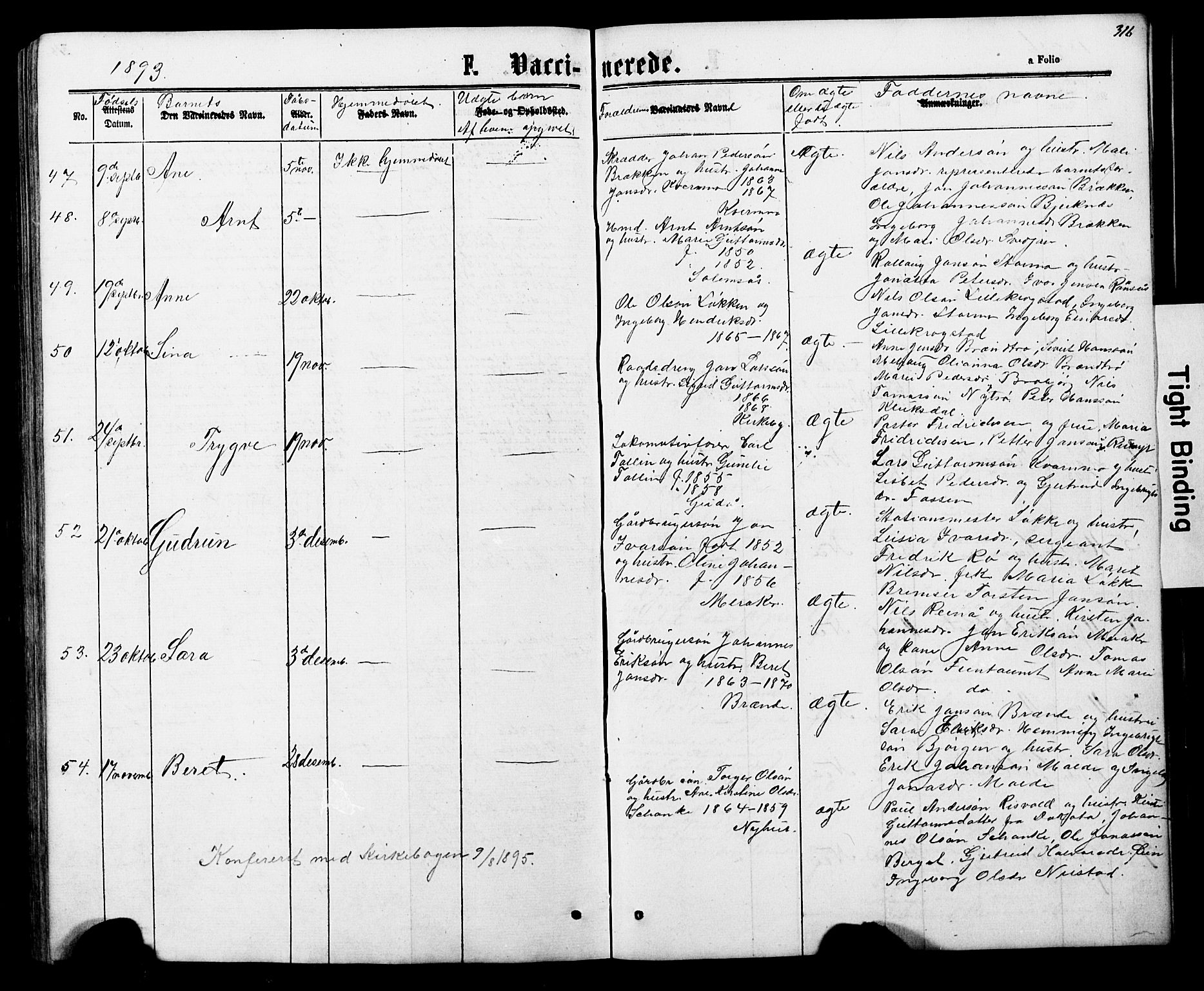 Ministerialprotokoller, klokkerbøker og fødselsregistre - Nord-Trøndelag, SAT/A-1458/706/L0049: Parish register (copy) no. 706C01, 1864-1895, p. 316
