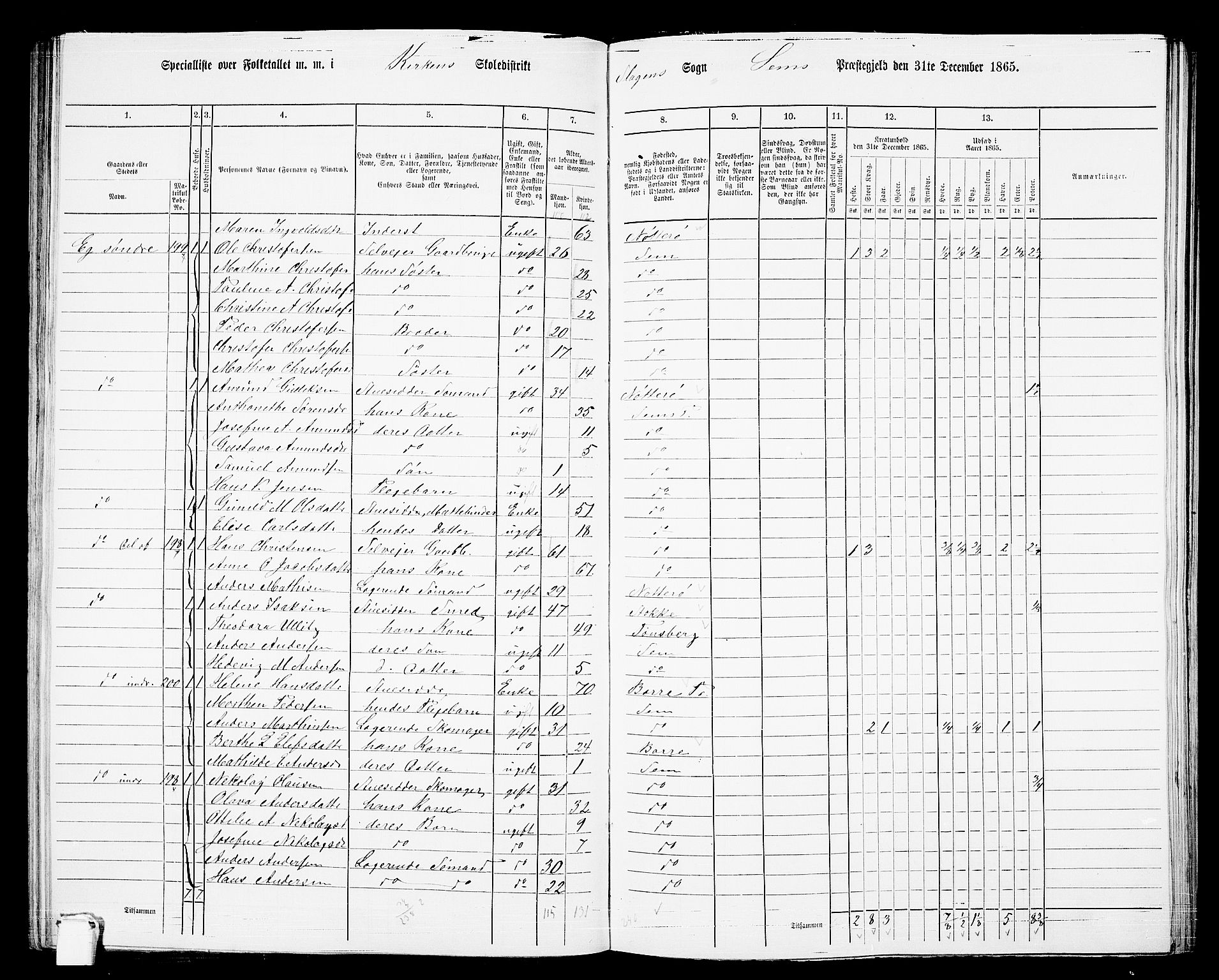 RA, 1865 census for Sem, 1865, p. 100