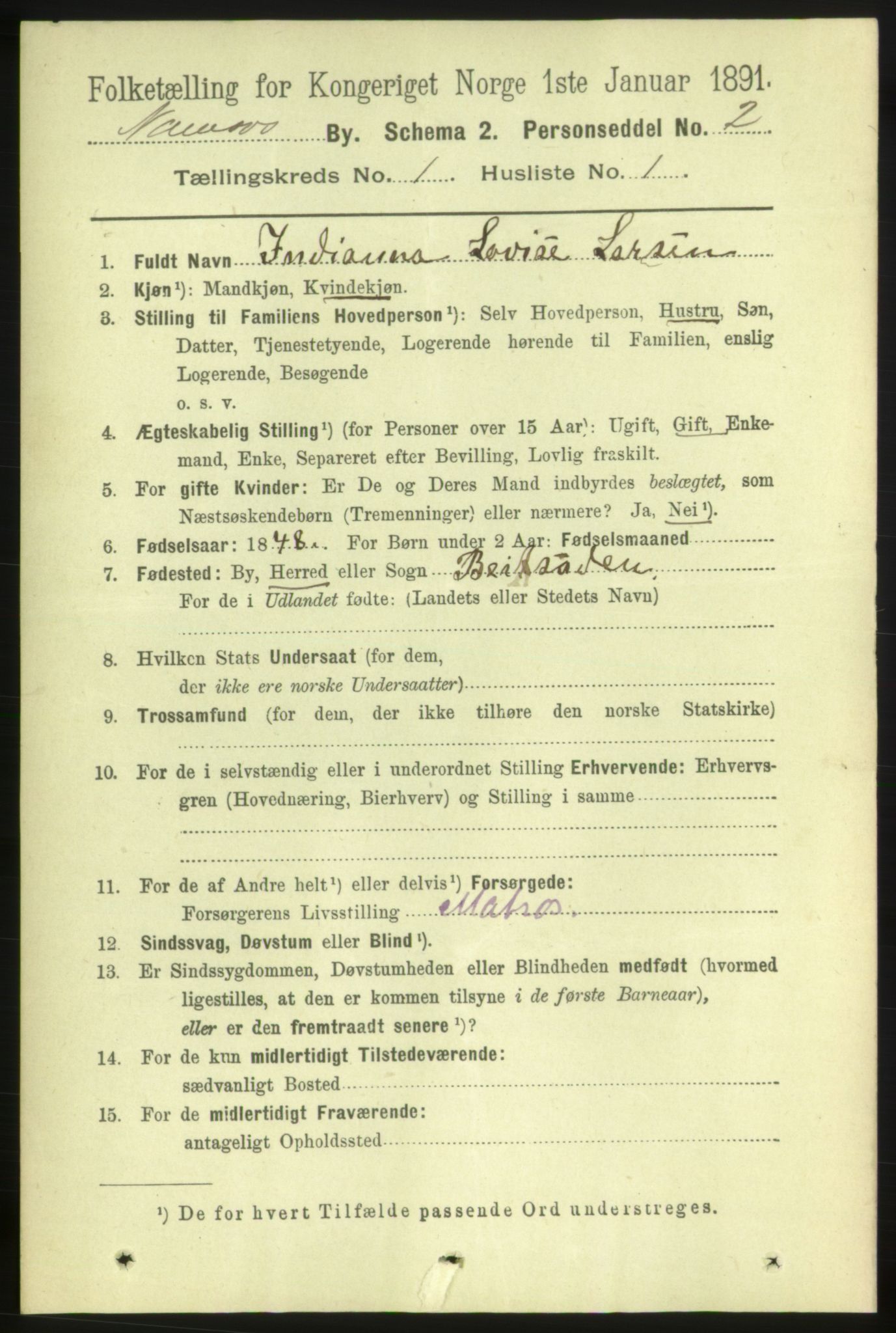 RA, 1891 census for 1703 Namsos, 1891, p. 17