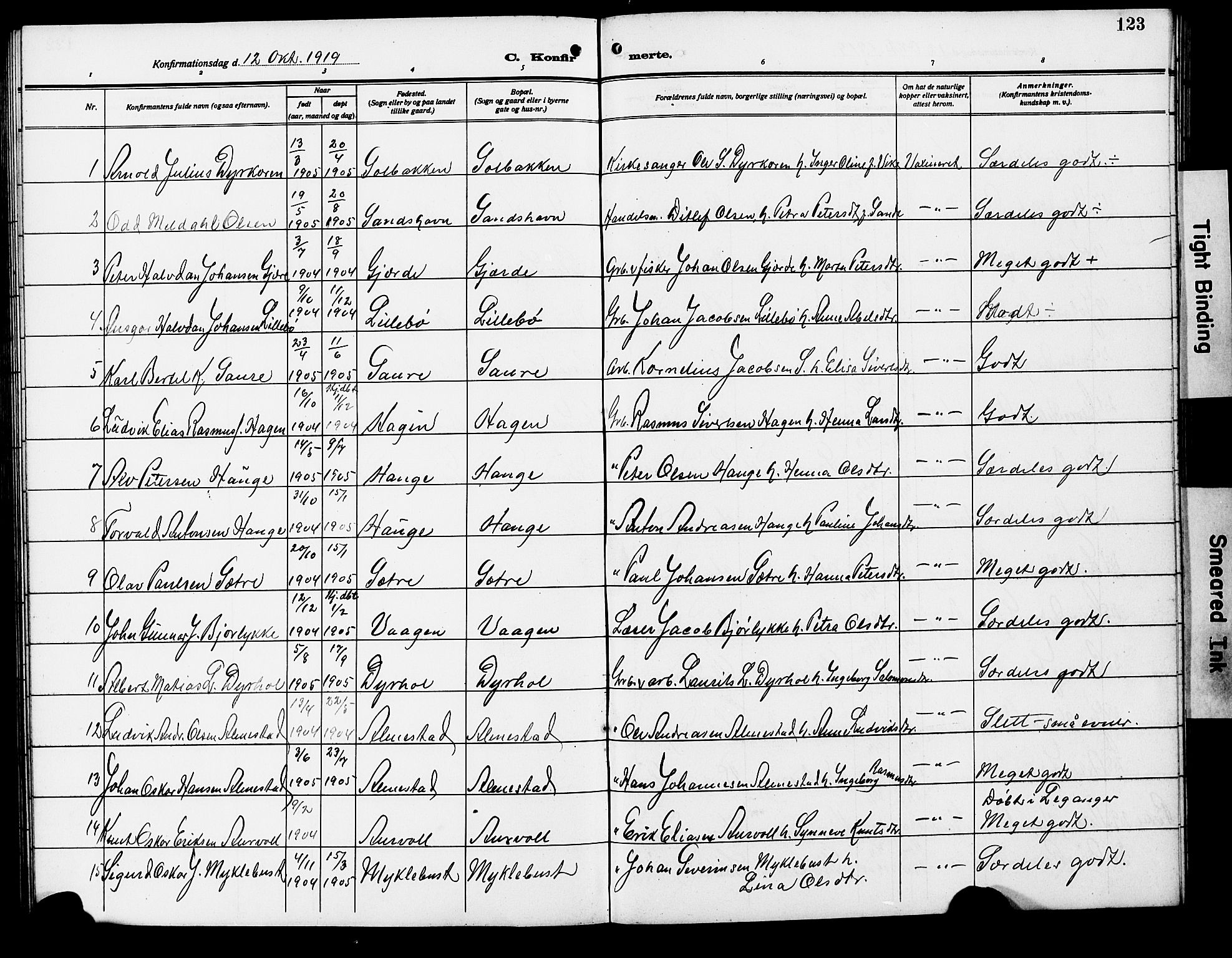 Ministerialprotokoller, klokkerbøker og fødselsregistre - Møre og Romsdal, AV/SAT-A-1454/503/L0050: Parish register (copy) no. 503C05, 1909-1922, p. 123