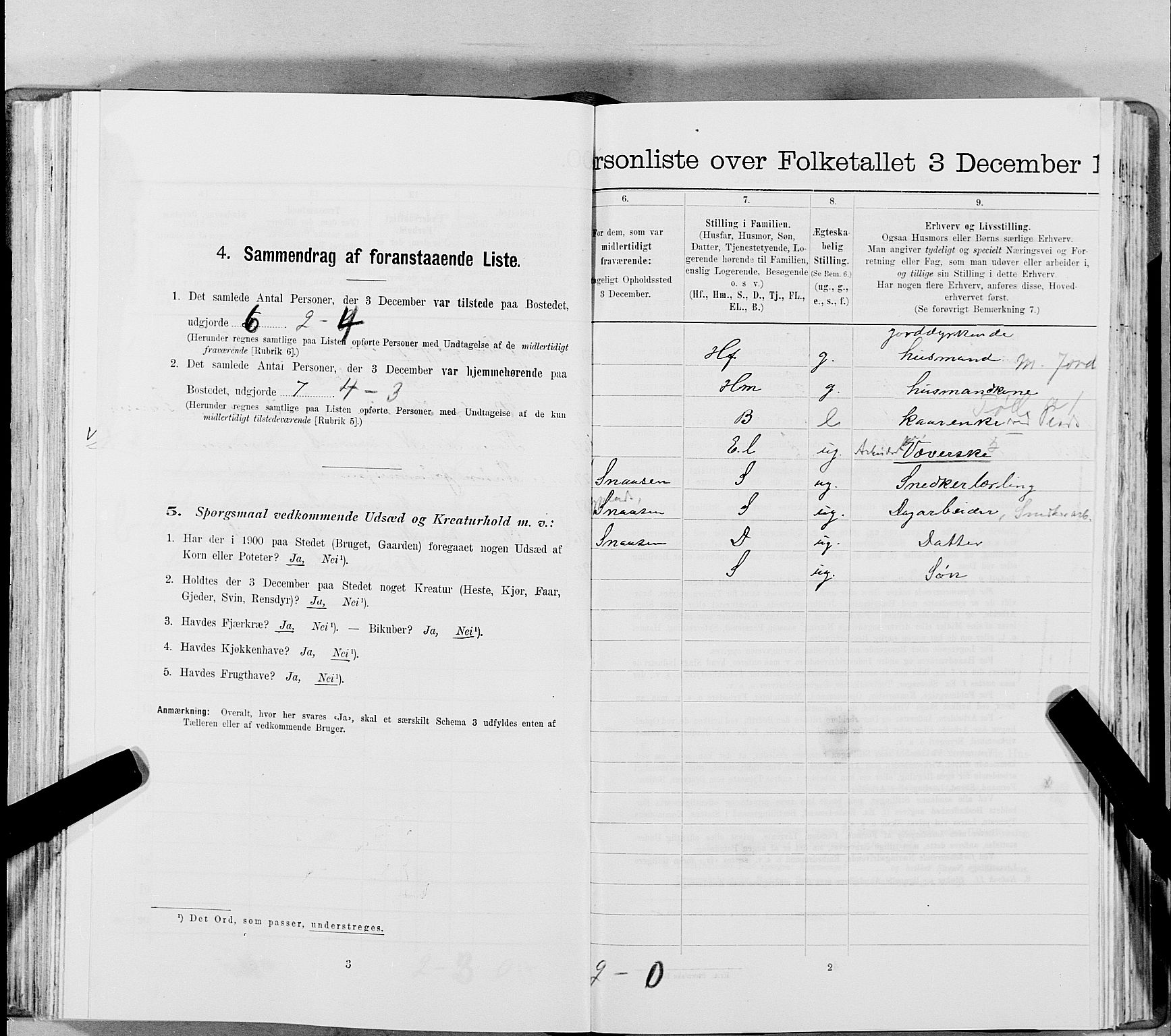 SAT, 1900 census for Snåsa, 1900, p. 848