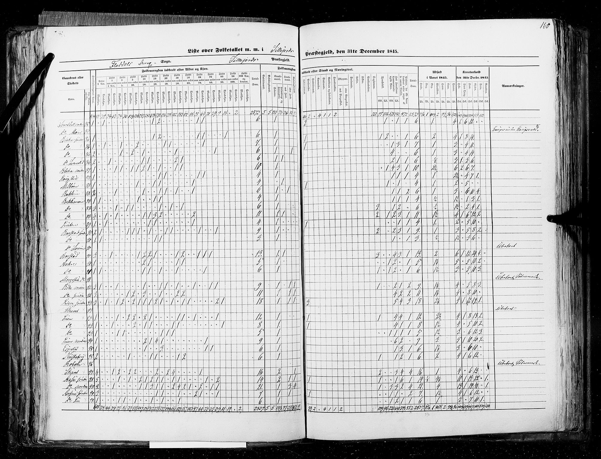 RA, Census 1845, vol. 5: Bratsberg amt og Nedenes og Råbyggelaget amt, 1845, p. 160