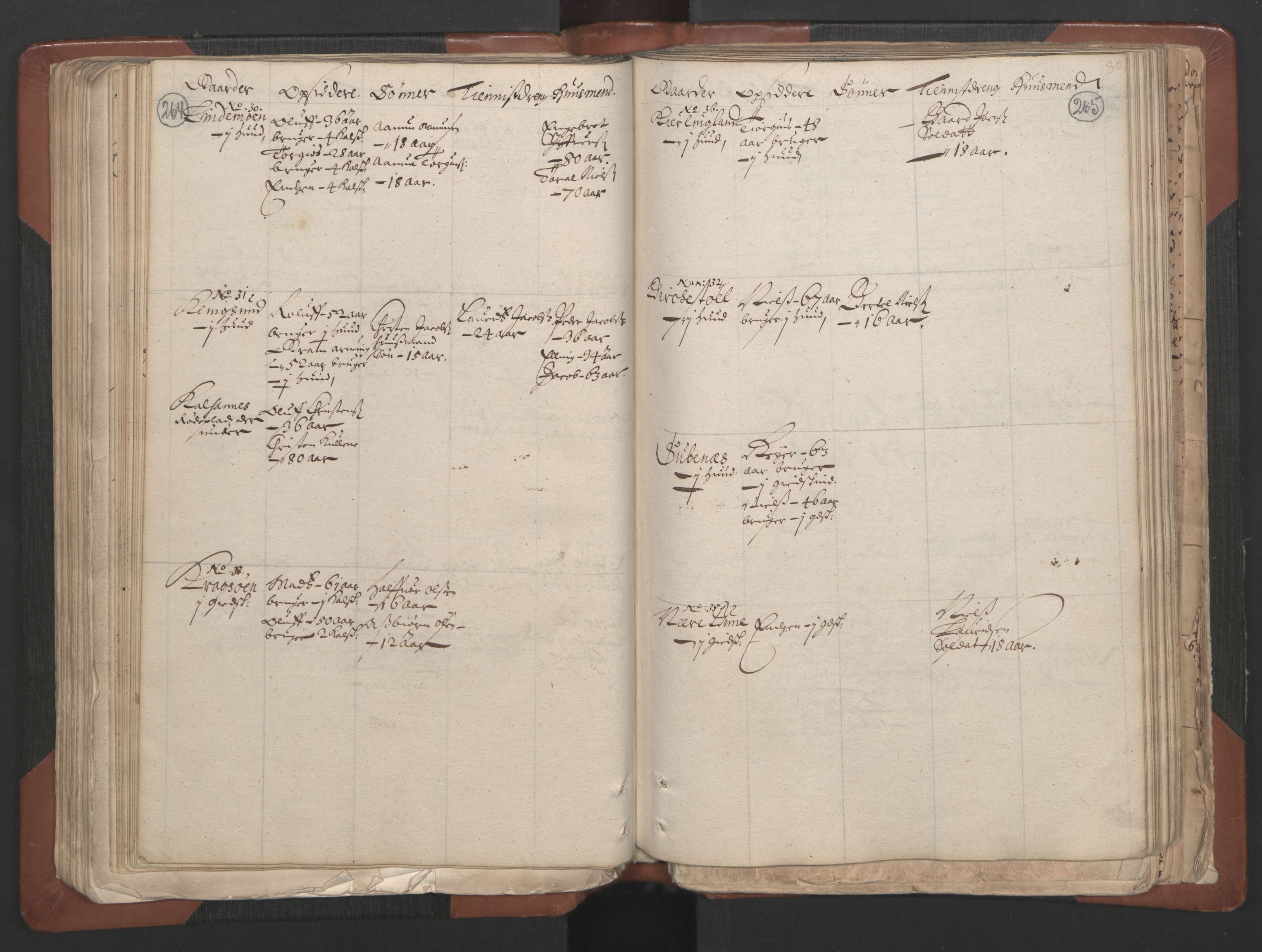 RA, Bailiff's Census 1664-1666, no. 7: Nedenes fogderi, 1664-1666, p. 264-265