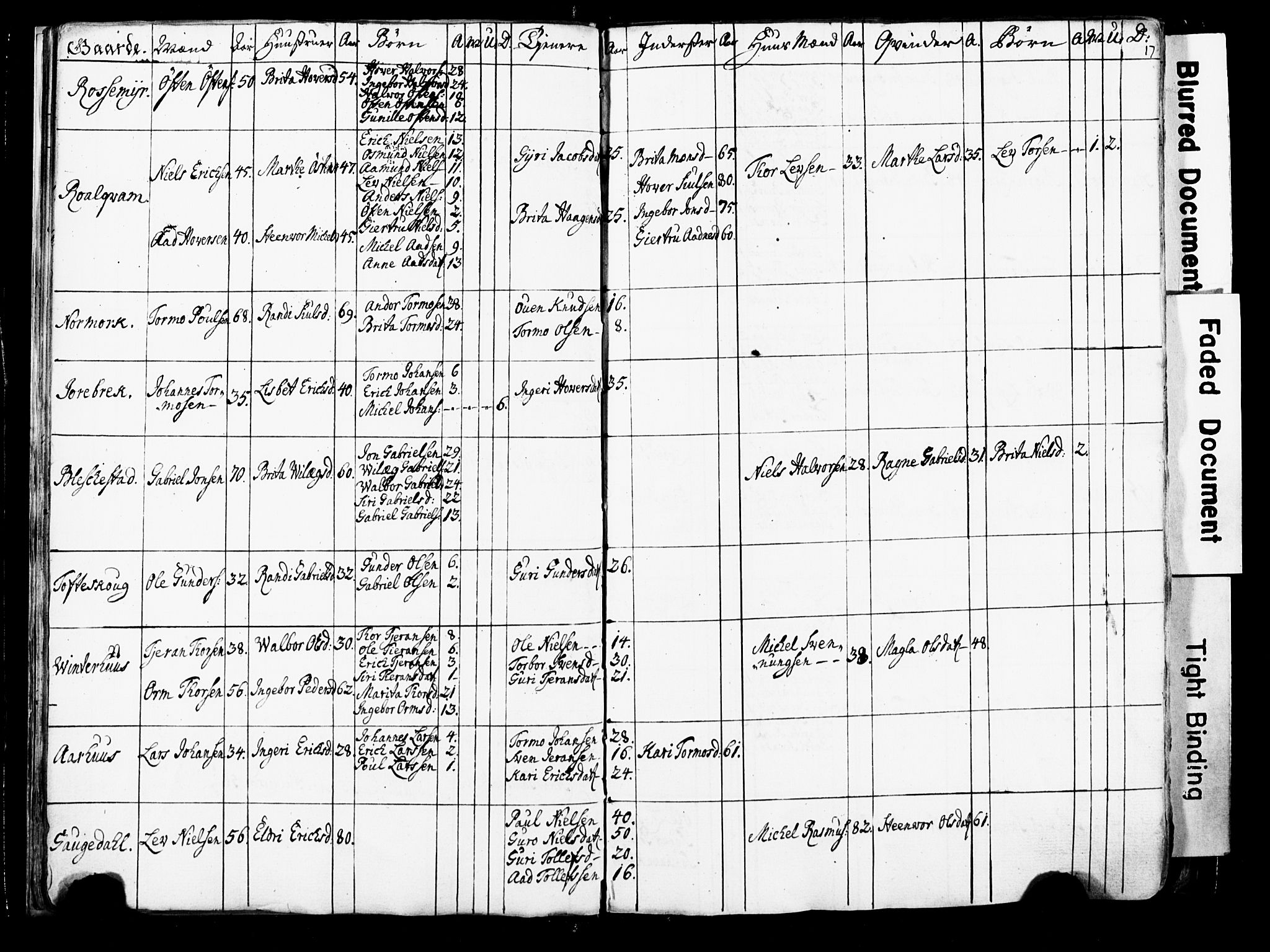 Fylkesmannen i Rogaland, AV/SAST-A-101928/99/3/325/325CA/L0016: SJELEREGISTER RYFYLKE PRESTEGJELD, 1758, p. 17