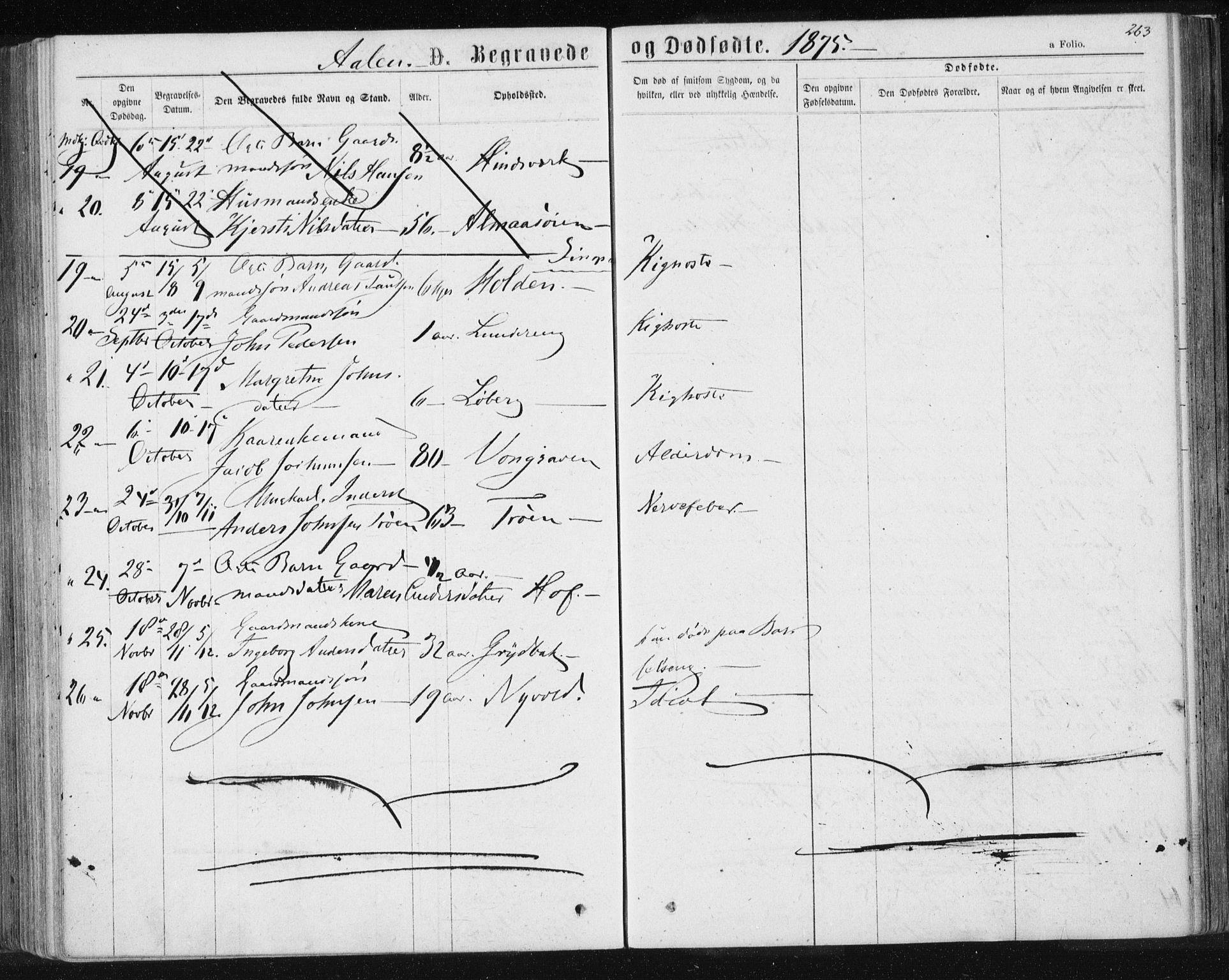 Ministerialprotokoller, klokkerbøker og fødselsregistre - Sør-Trøndelag, SAT/A-1456/685/L0971: Parish register (official) no. 685A08 /3, 1870-1879, p. 263
