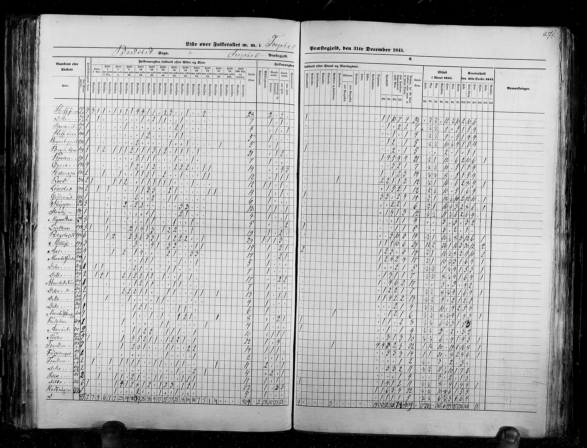 RA, Census 1845, vol. 2: Smålenenes amt og Akershus amt, 1845, p. 271