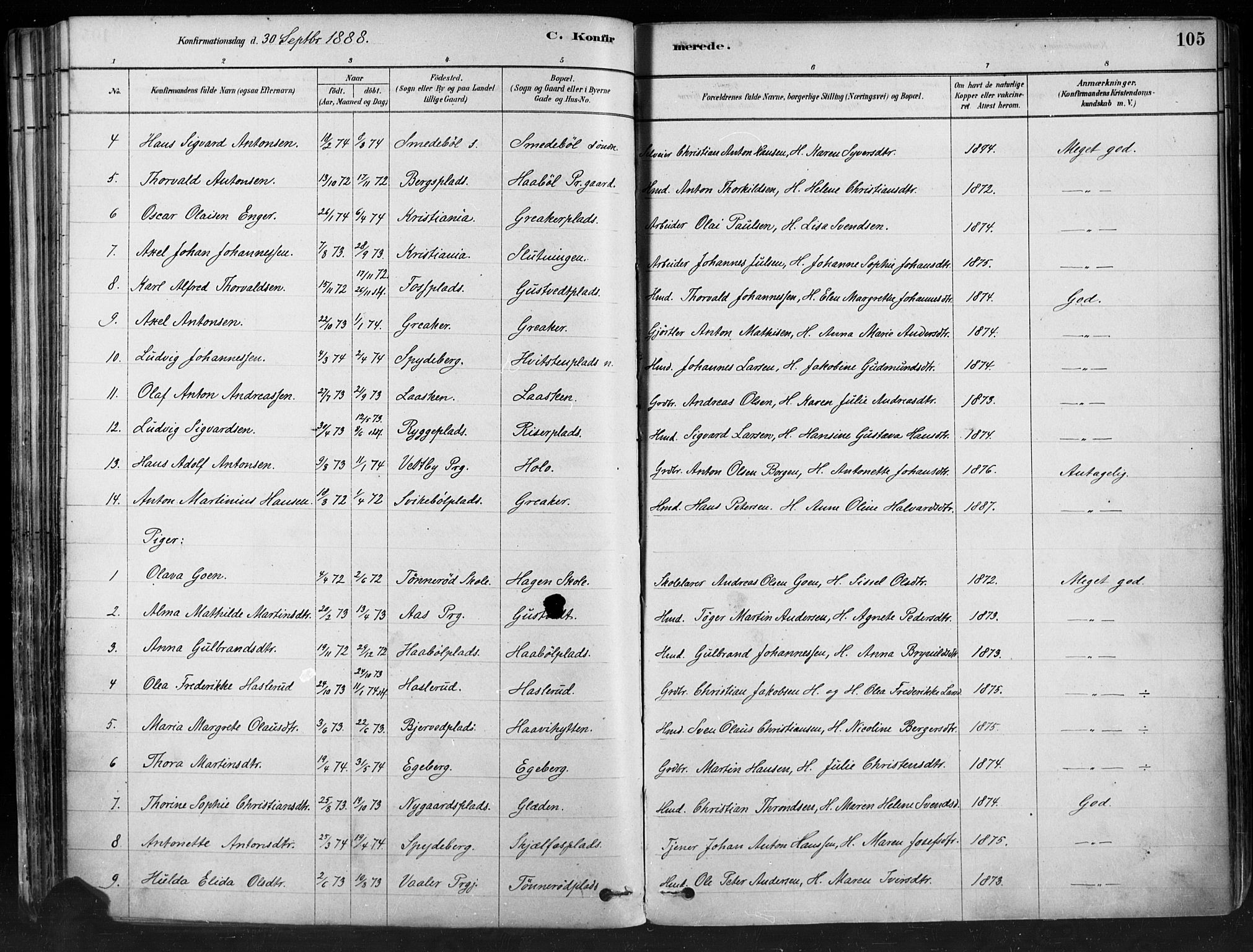 Hobøl prestekontor Kirkebøker, AV/SAO-A-2002/F/Fa/L0005: Parish register (official) no. I 5, 1878-1904, p. 105