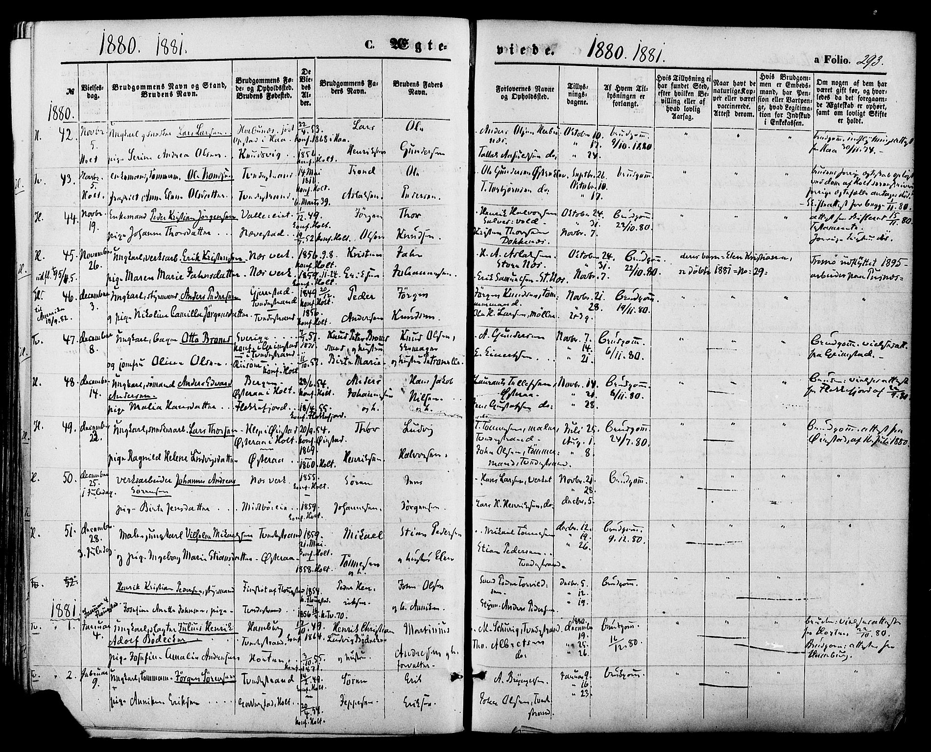 Holt sokneprestkontor, AV/SAK-1111-0021/F/Fa/L0010: Parish register (official) no. A 10, 1872-1885, p. 293