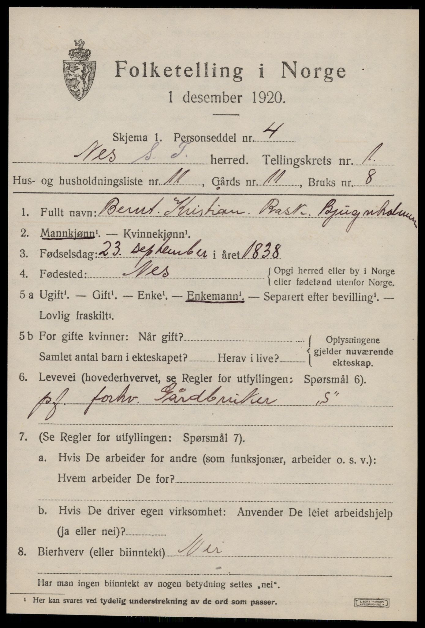 SAT, 1920 census for Nes (ST), 1920, p. 607