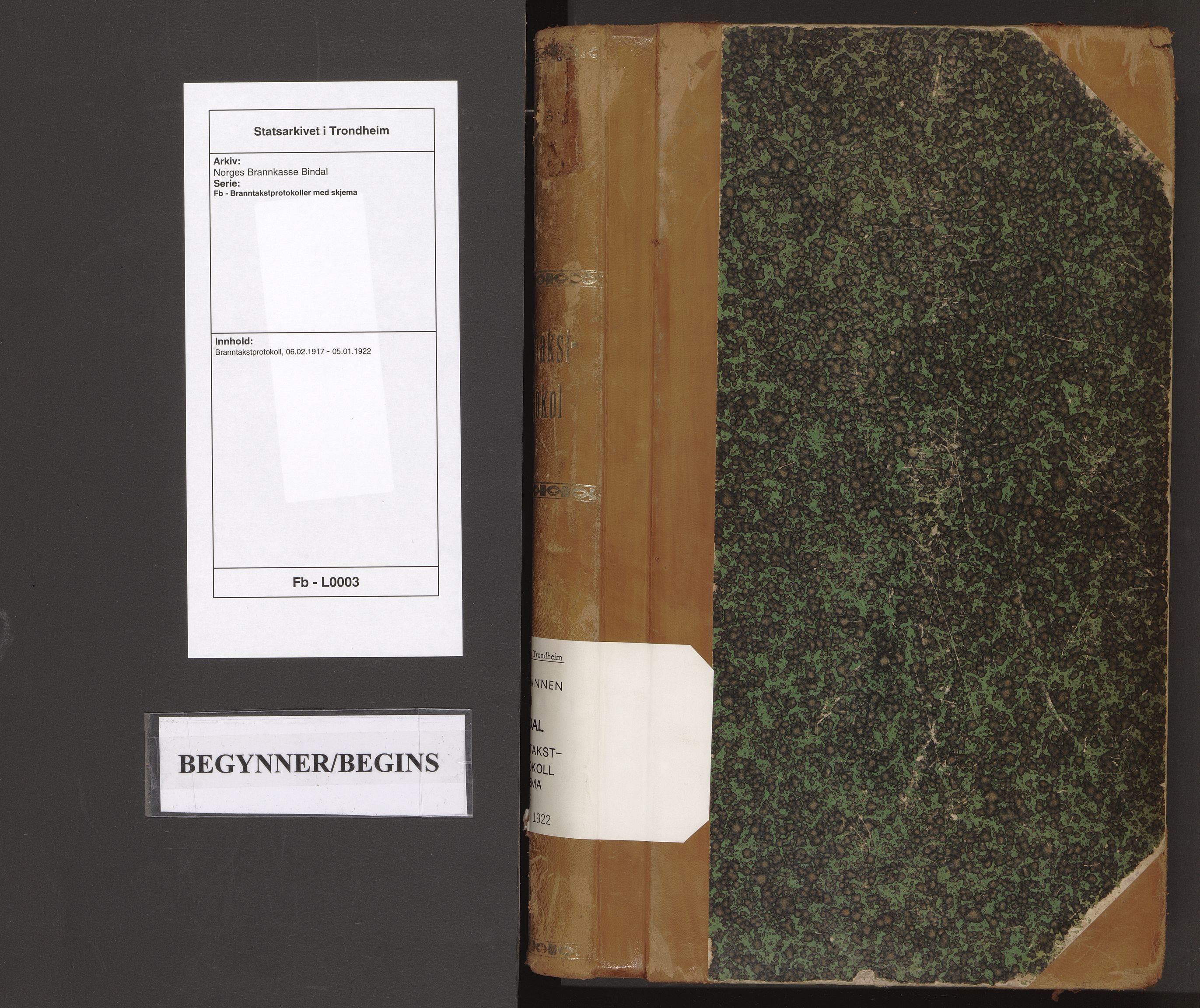 Norges Brannkasse Bindal, AV/SAT-A-5559/Fb/L0003: Branntakstprotokoll, 1917-1922