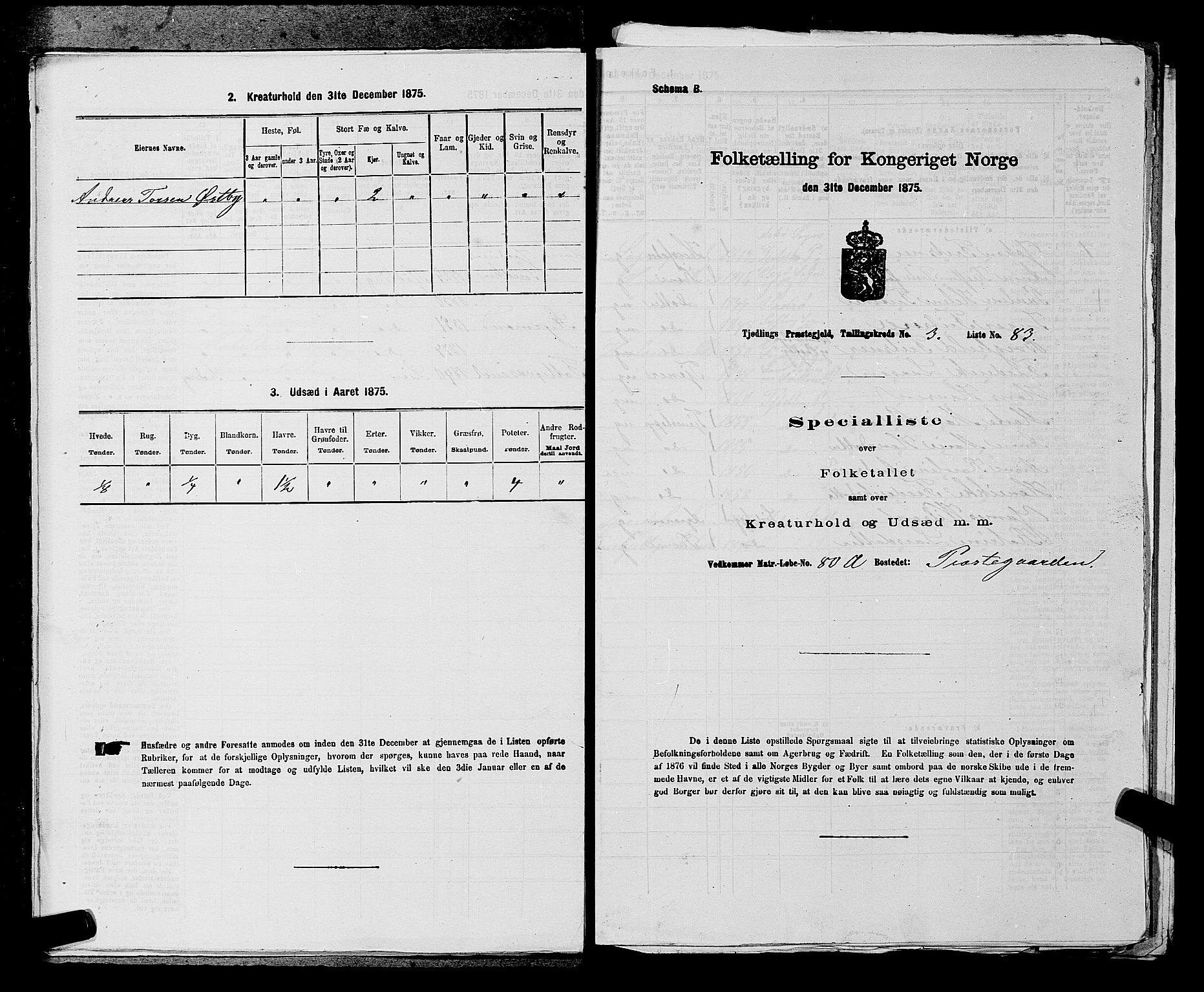 SAKO, 1875 census for 0725P Tjølling, 1875, p. 706