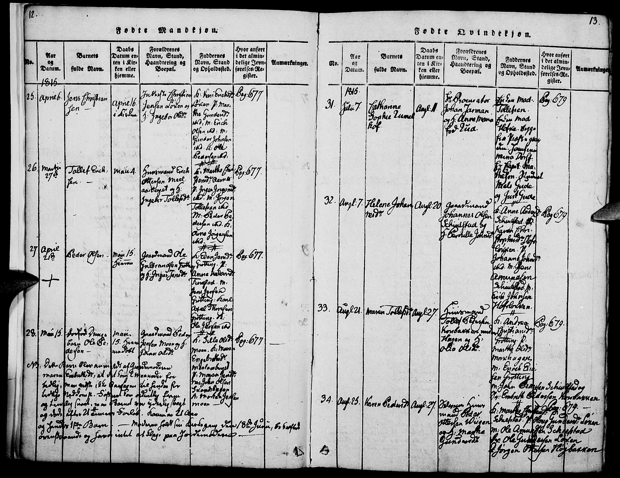 Elverum prestekontor, AV/SAH-PREST-044/H/Ha/Haa/L0007: Parish register (official) no. 7, 1815-1830, p. 12-13