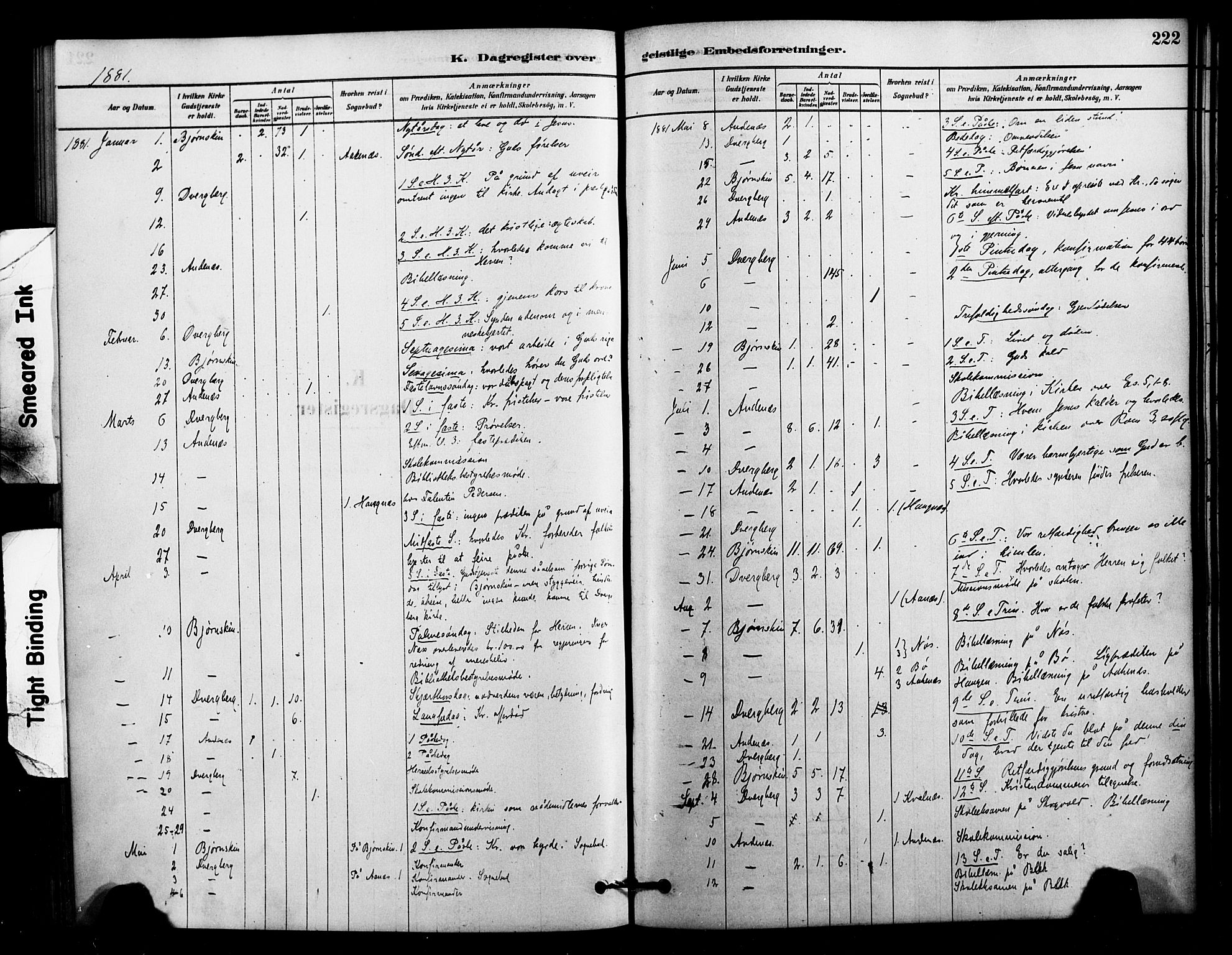 Ministerialprotokoller, klokkerbøker og fødselsregistre - Nordland, AV/SAT-A-1459/897/L1399: Parish register (official) no. 897C06, 1881-1896, p. 222