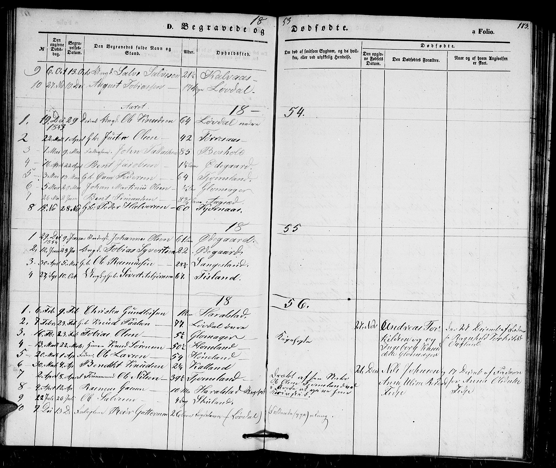 Holum sokneprestkontor, SAK/1111-0022/F/Fb/Fbb/L0002: Parish register (copy) no. B 2, 1847-1874, p. 173