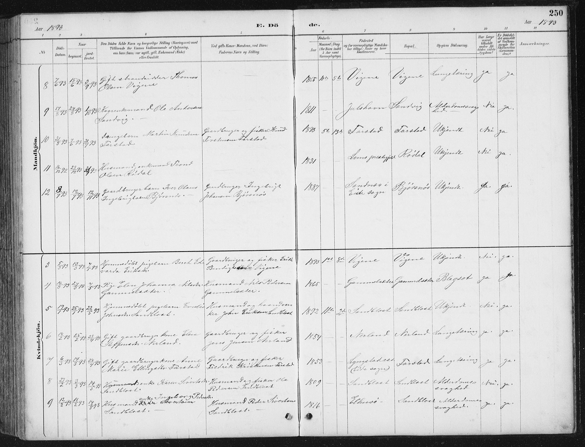 Ministerialprotokoller, klokkerbøker og fødselsregistre - Møre og Romsdal, AV/SAT-A-1454/567/L0783: Parish register (copy) no. 567C03, 1887-1903, p. 250