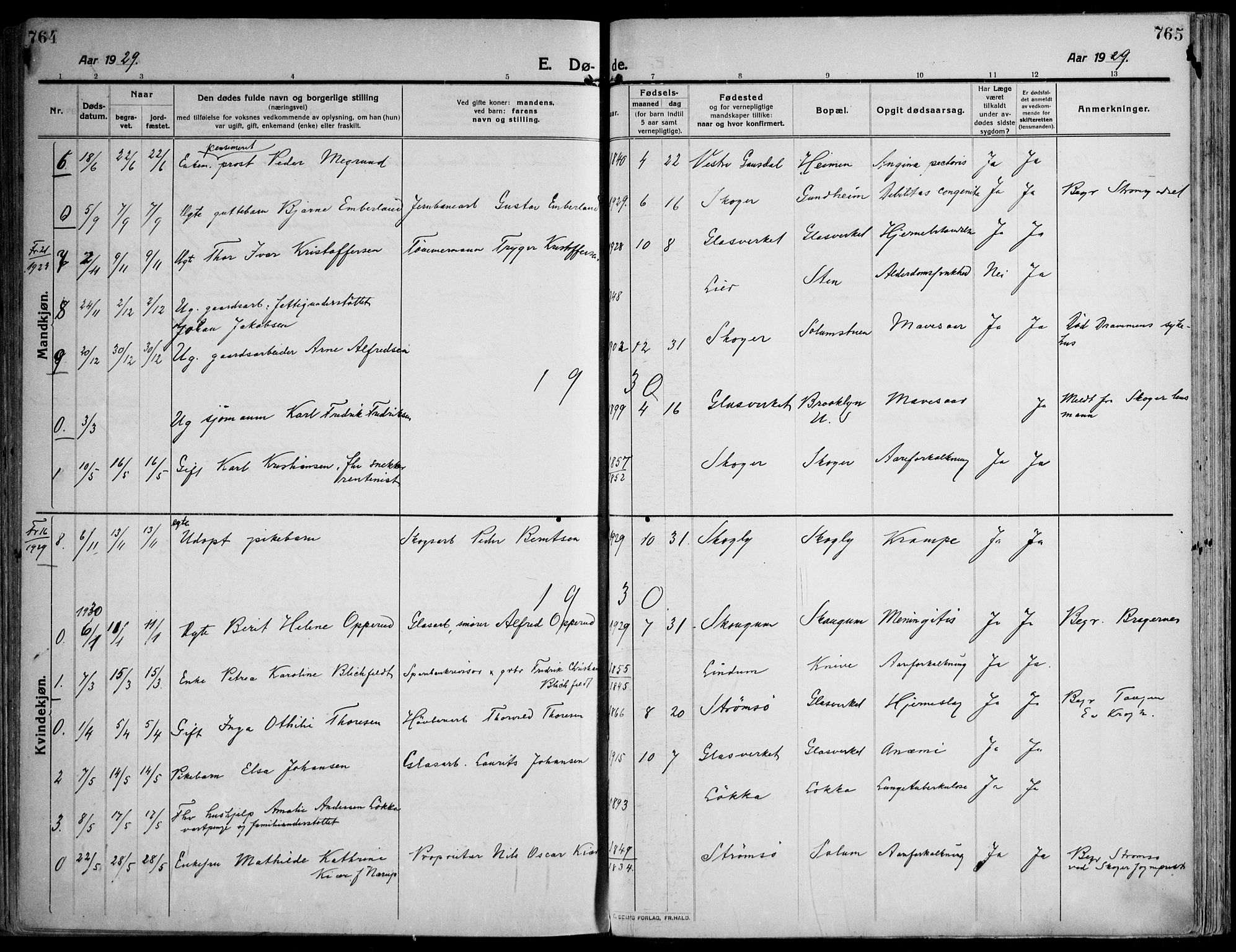 Skoger kirkebøker, AV/SAKO-A-59/F/Fa/L0007: Parish register (official) no. I 7, 1911-1936, p. 764-765