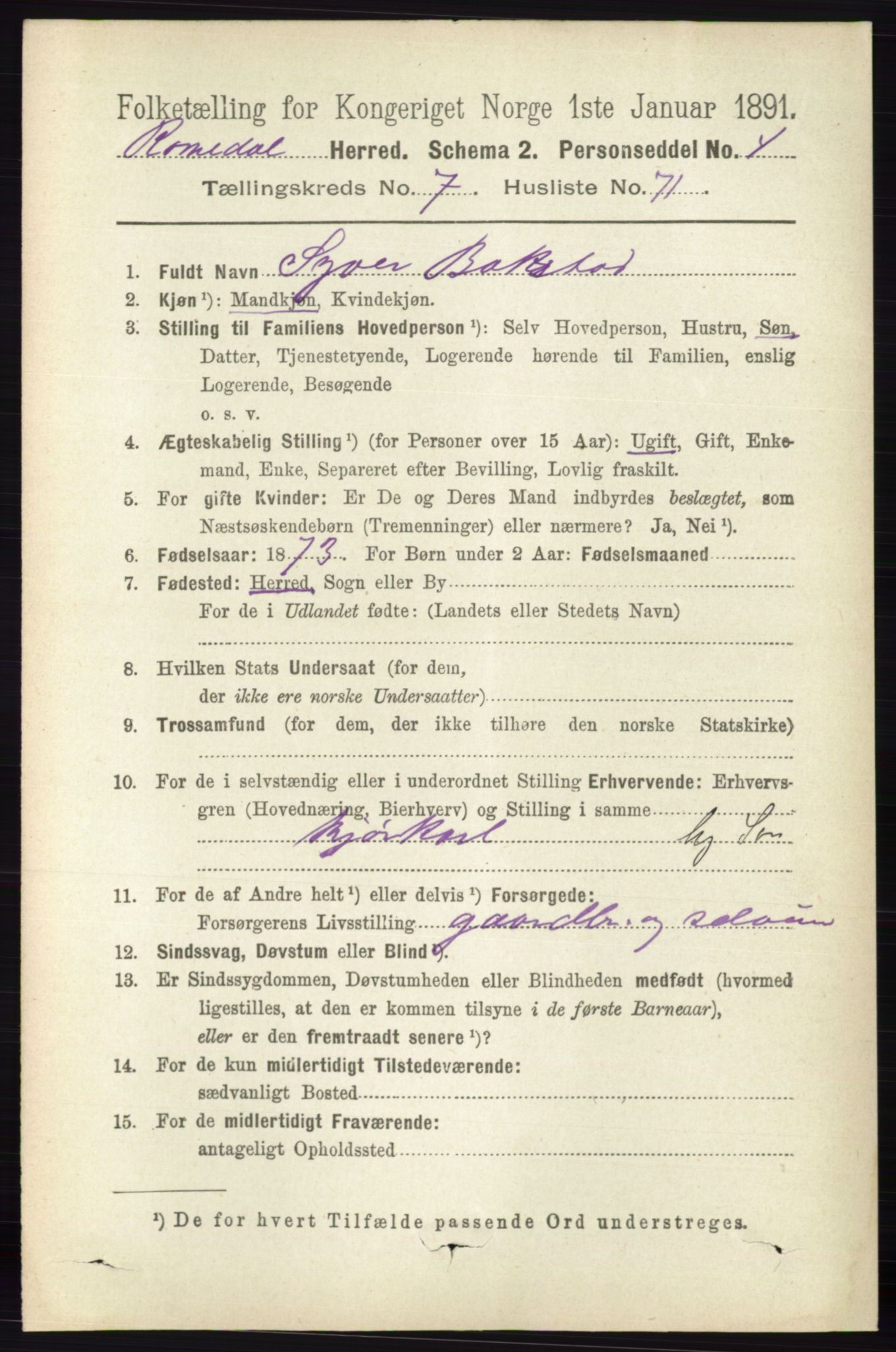 RA, 1891 census for 0416 Romedal, 1891, p. 3900
