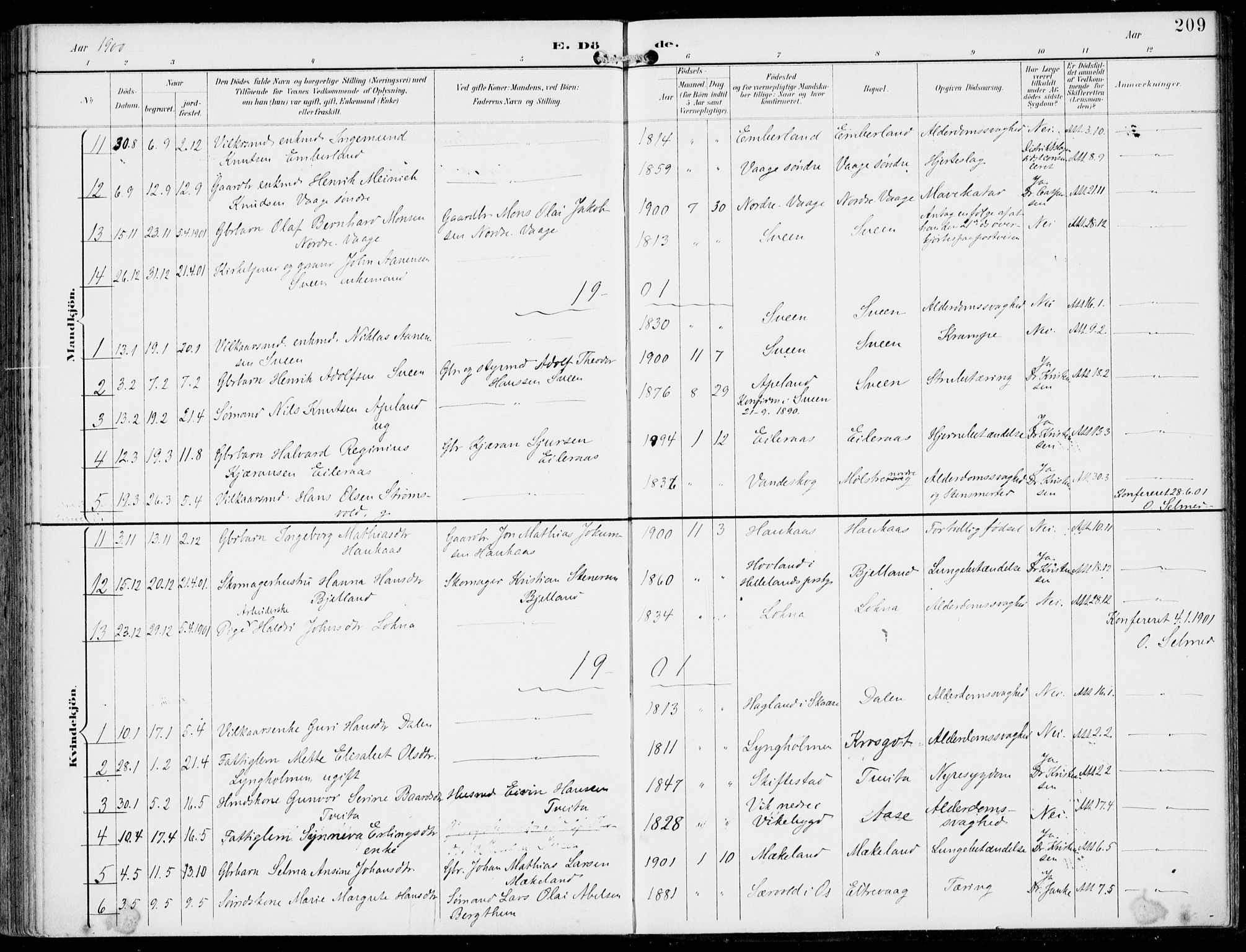 Sveio Sokneprestembete, AV/SAB-A-78501/H/Haa: Parish register (official) no. B  3, 1894-1906, p. 209