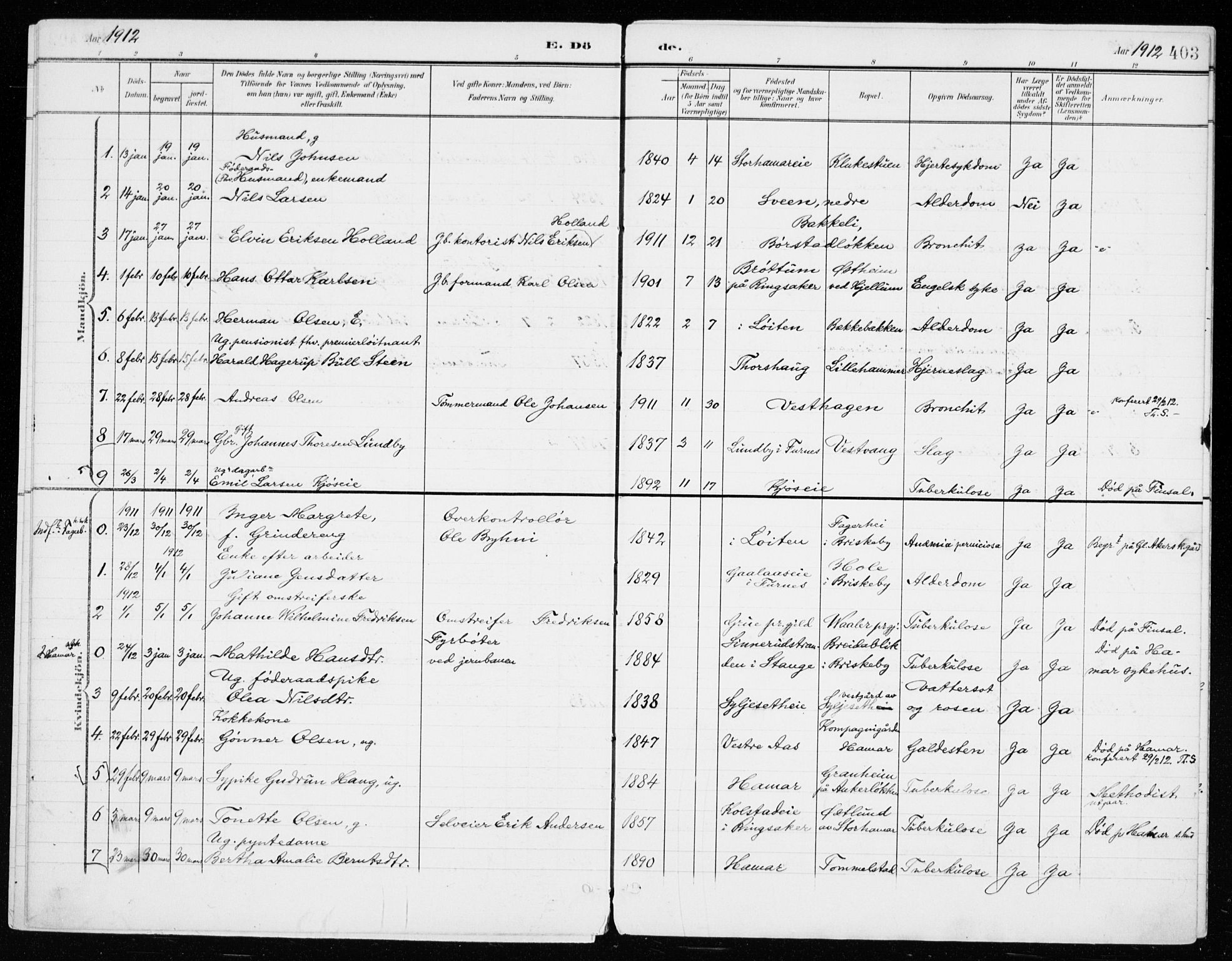 Vang prestekontor, Hedmark, SAH/PREST-008/H/Ha/Haa/L0021: Parish register (official) no. 21, 1902-1917, p. 403